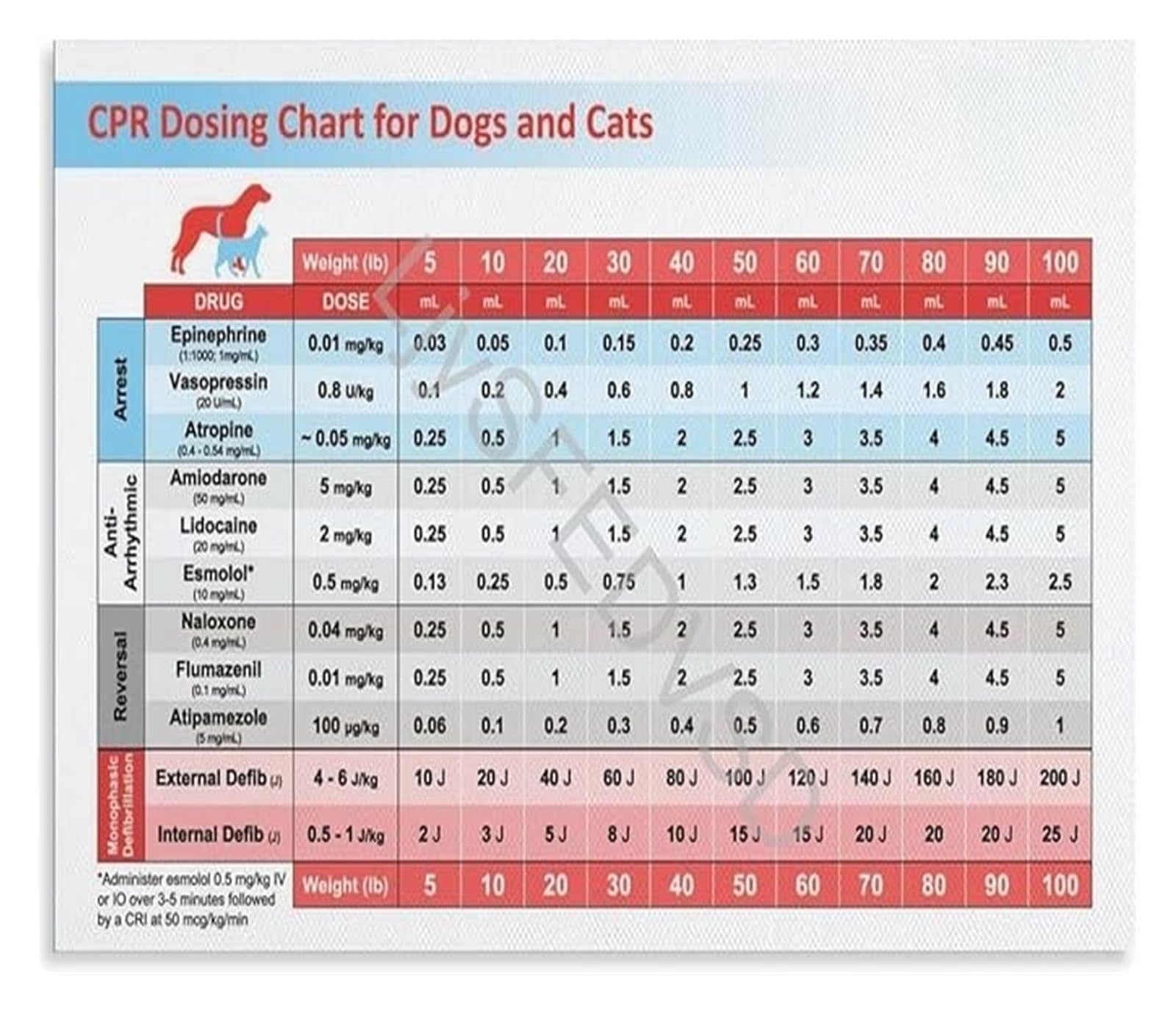 LLBOGRGGN Veterinary Clinical Reference Poster Emergency Drug Dosing and CPR Instructions Canvas for Vet School Clinic(Framed,12x18inch(30x45cm))