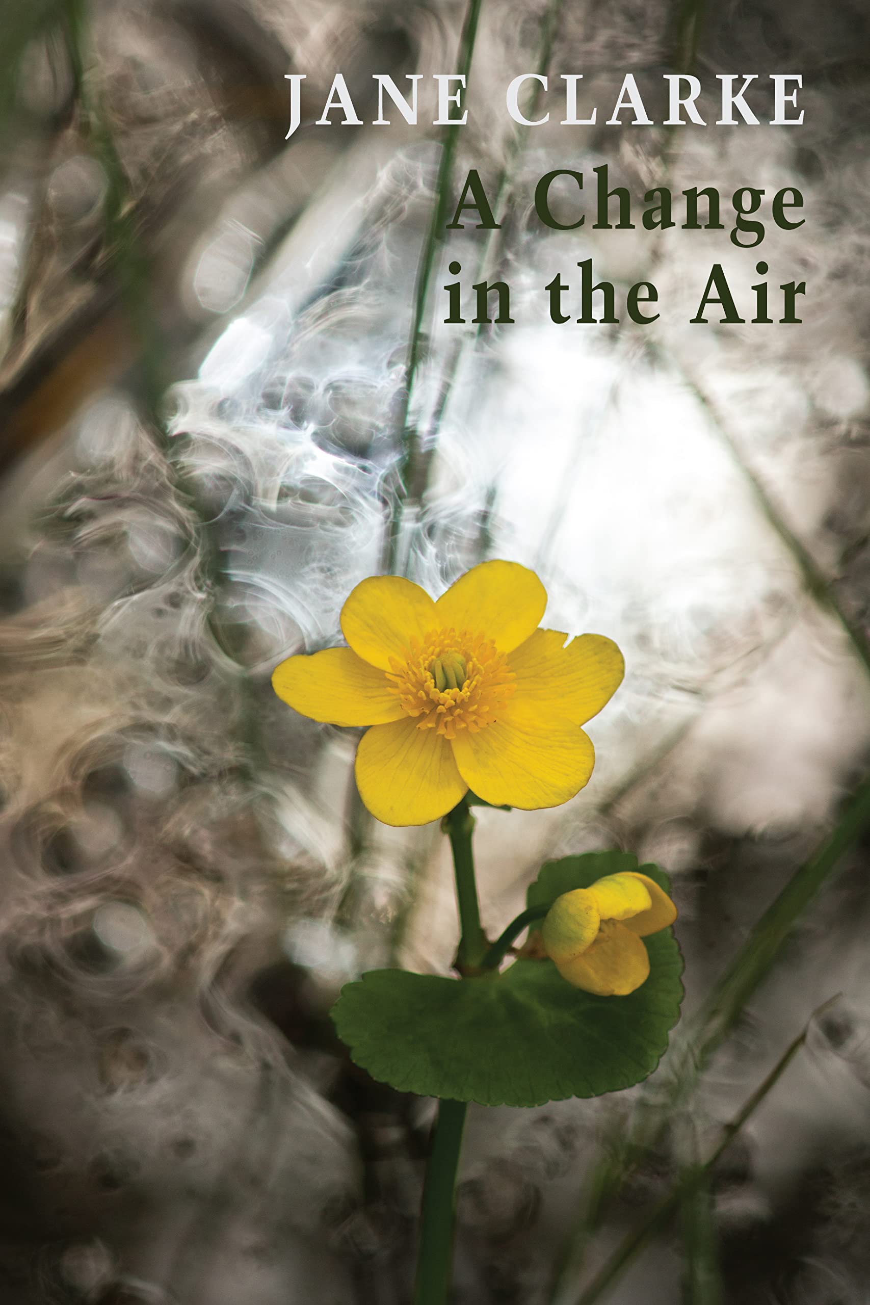 A Change in the Air : Jane Clarke