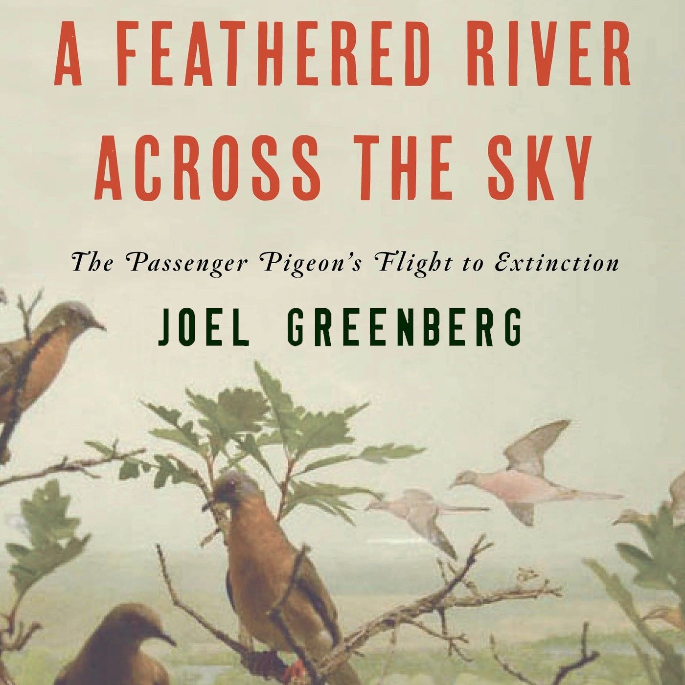 Cover art for A Feathered River Across the Sky