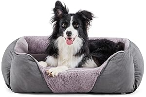 Moochpaws Bed for Divine Canine Comfort
