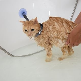 Haloppe Correa de baño para gatos, arnés de baño ajustable para mascotas, soporte de baño para mascotas con ventosa, cuerda fija para aseo de mascotas, correa de baño para gatos y perros, color negro