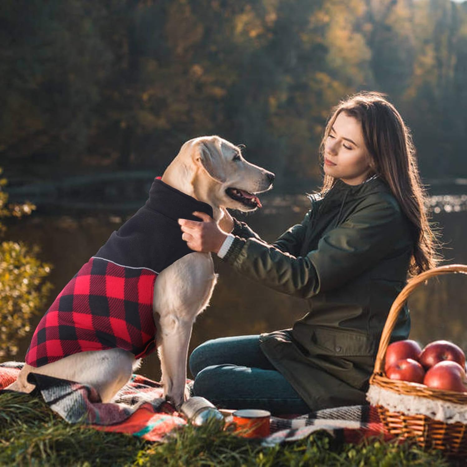 Kuoser Dog Winter Coat, Reflective Cold Weather Dog Jacket, Reversible British Style Plaid Dog Coat Warm Cotton Thickened Vest Windproof Outdoor Apparel for Small Medium and Large Dogs Red S : Pet Supplies