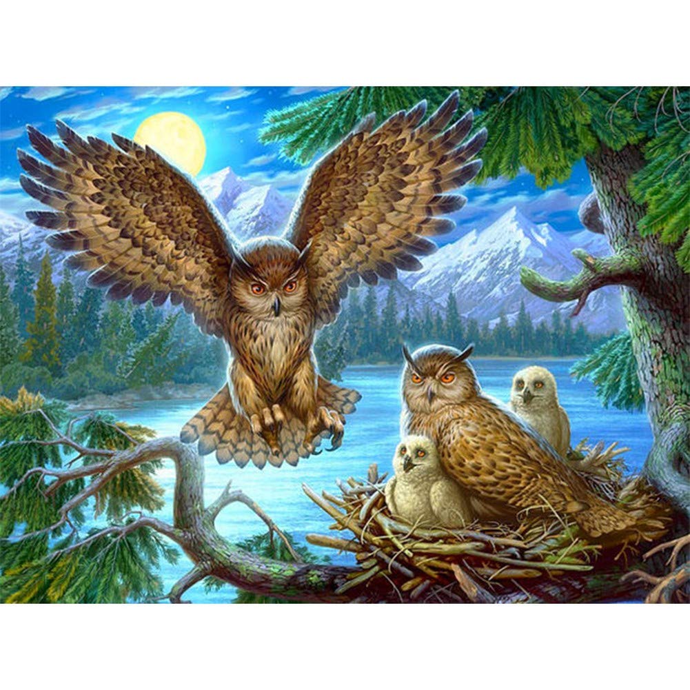 Diamond Painting Chouette Grand Format pour Décoration Salon et Chambre Design Moderne
