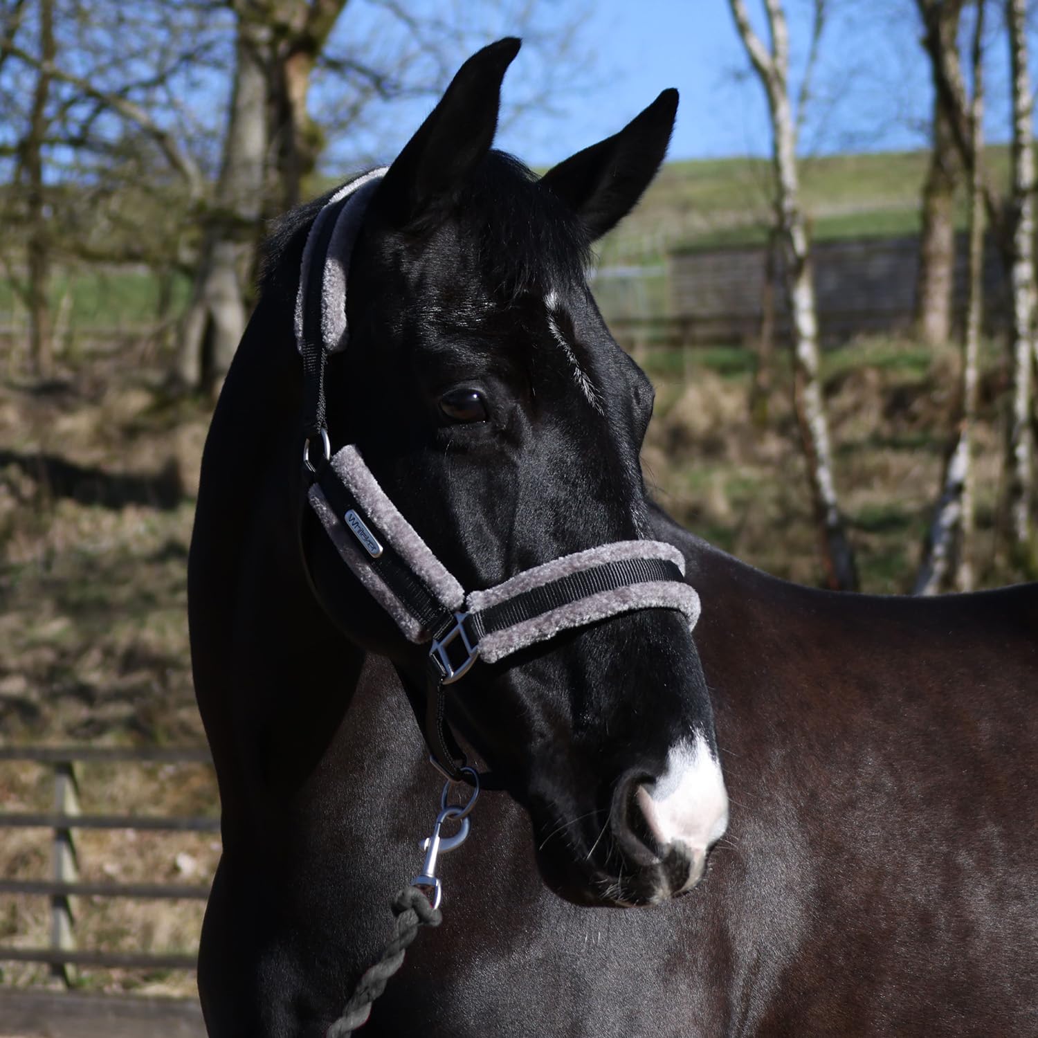 John Whitaker Holmfirth Halter Furry Headcollar and Leadrope Set for Horses (Black, Pony)