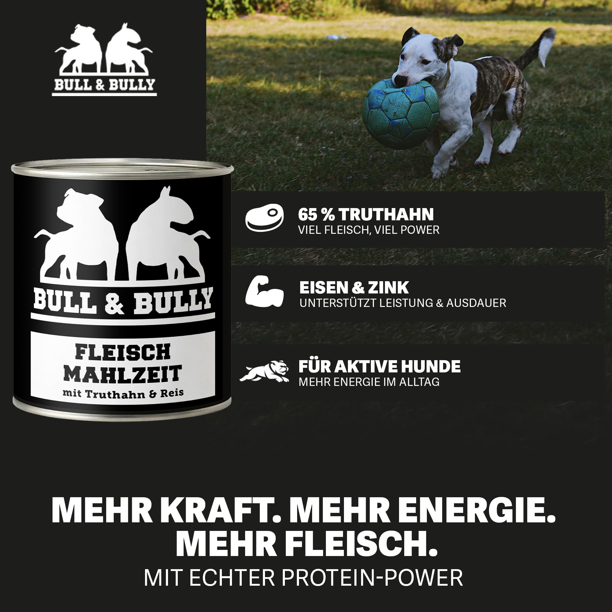 Hundefutter Nass 800g 12x Fleischmahlzeit Truthahn mit Reis