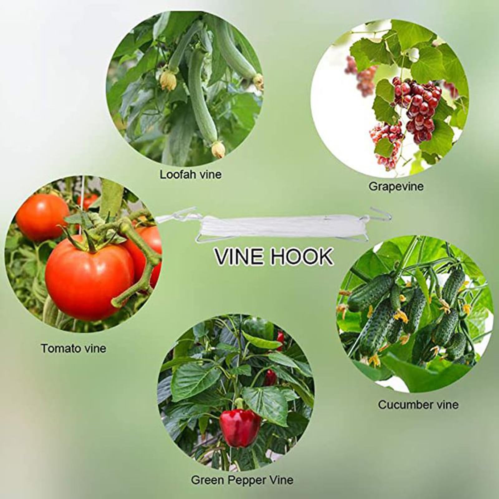 Pflanzenclips zur Unterstützung, Tomatenpflanzungs-Sets, multifunktionale Befestigung, Veredelungsklemme für Zuhause, Garten, Gewächshaus, professioneller Bauernhof