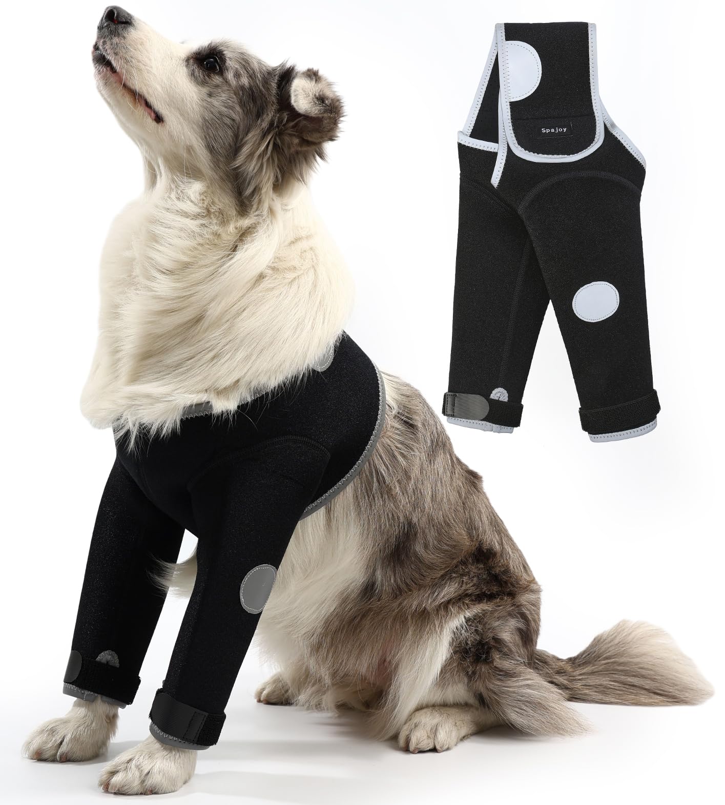 Dog Recovery Suit, Medical Cone Alternative, Abrasion Resistant Dog Recovery Sleeve, Washable 3mm Thick and Waterproof, Pet Wounds Prevent Licking, Bite, Being Wet, and Keep Dry