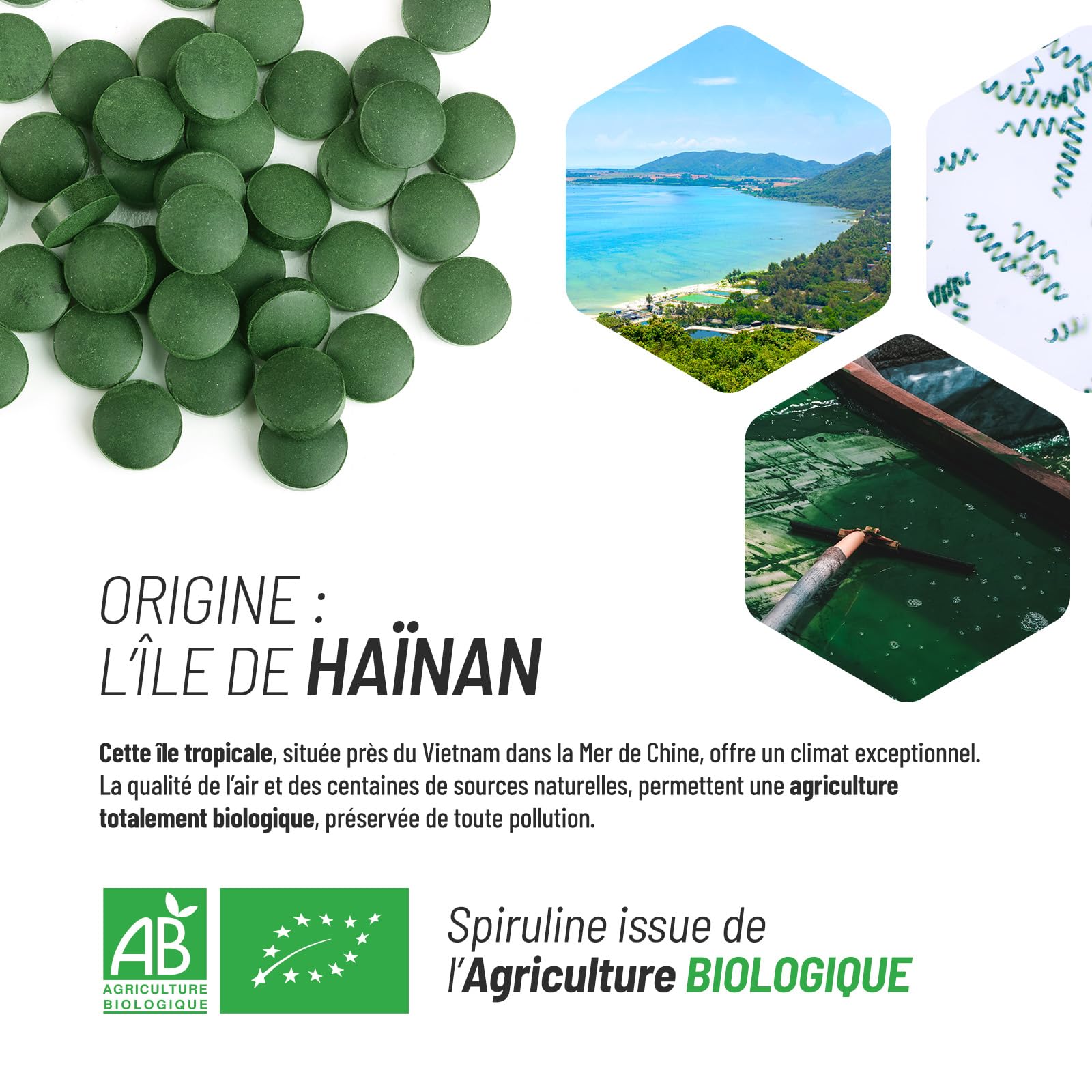 Spiruline Bio AB 500 mg -1200 comprimés - Riche en Protéines, Phycocyanine, Chlorophylle, Caroténoïde et Fer - GPH Entreprise Française