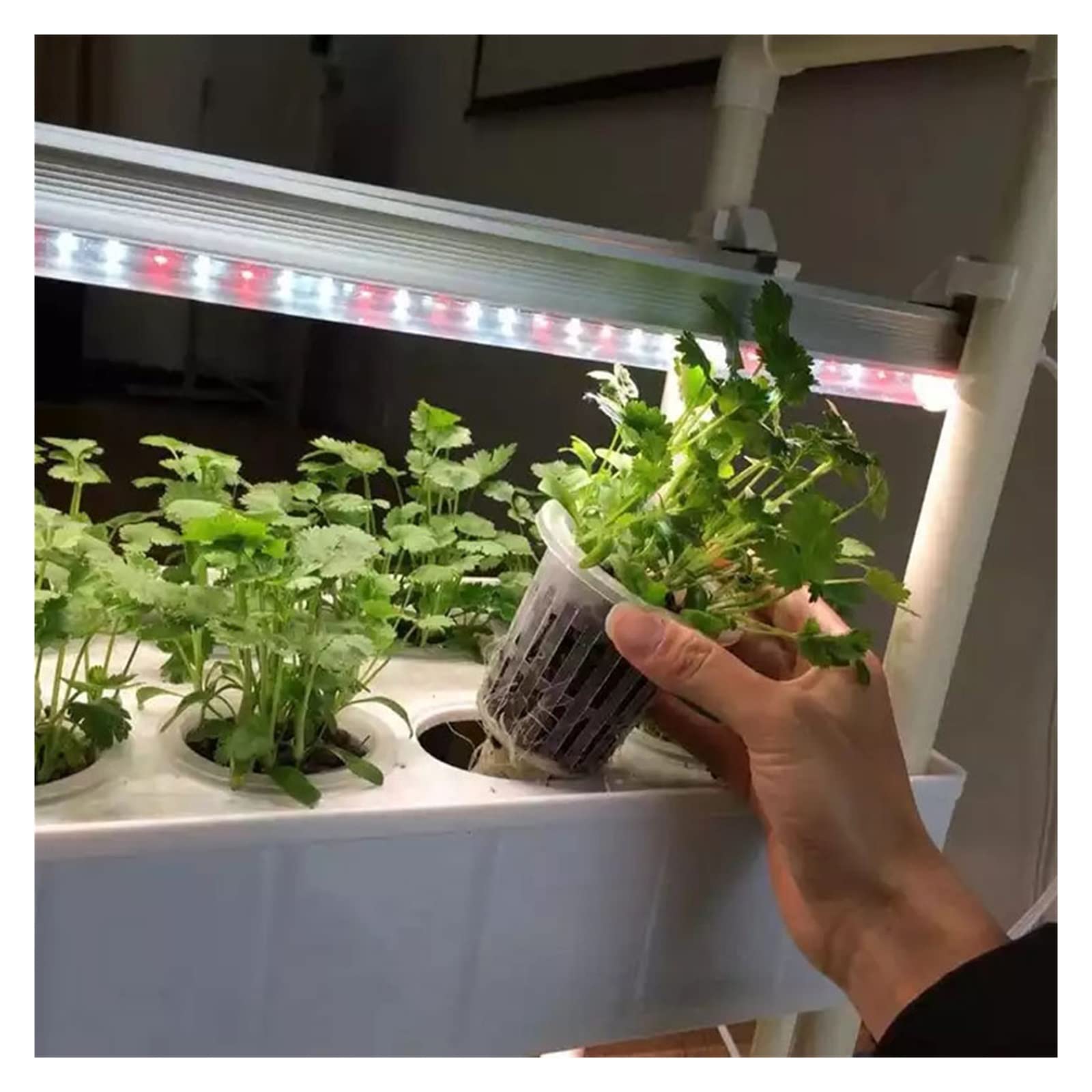 Sistema de cultivo hidropónico Kit de jardín vertical de hierbas inteligentes para interiores Jardinera con luces de cultivo LED automáticas para cocina casera, kits y sistemas de cultivo hidropónic