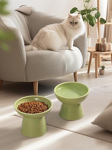 Miniatura 8 de LoeJan Juego de comedero elevado para gatos, cuencos de cerámica extra anchos y elevados, cuenco para gatos antivómitos sin bigotes para gatos