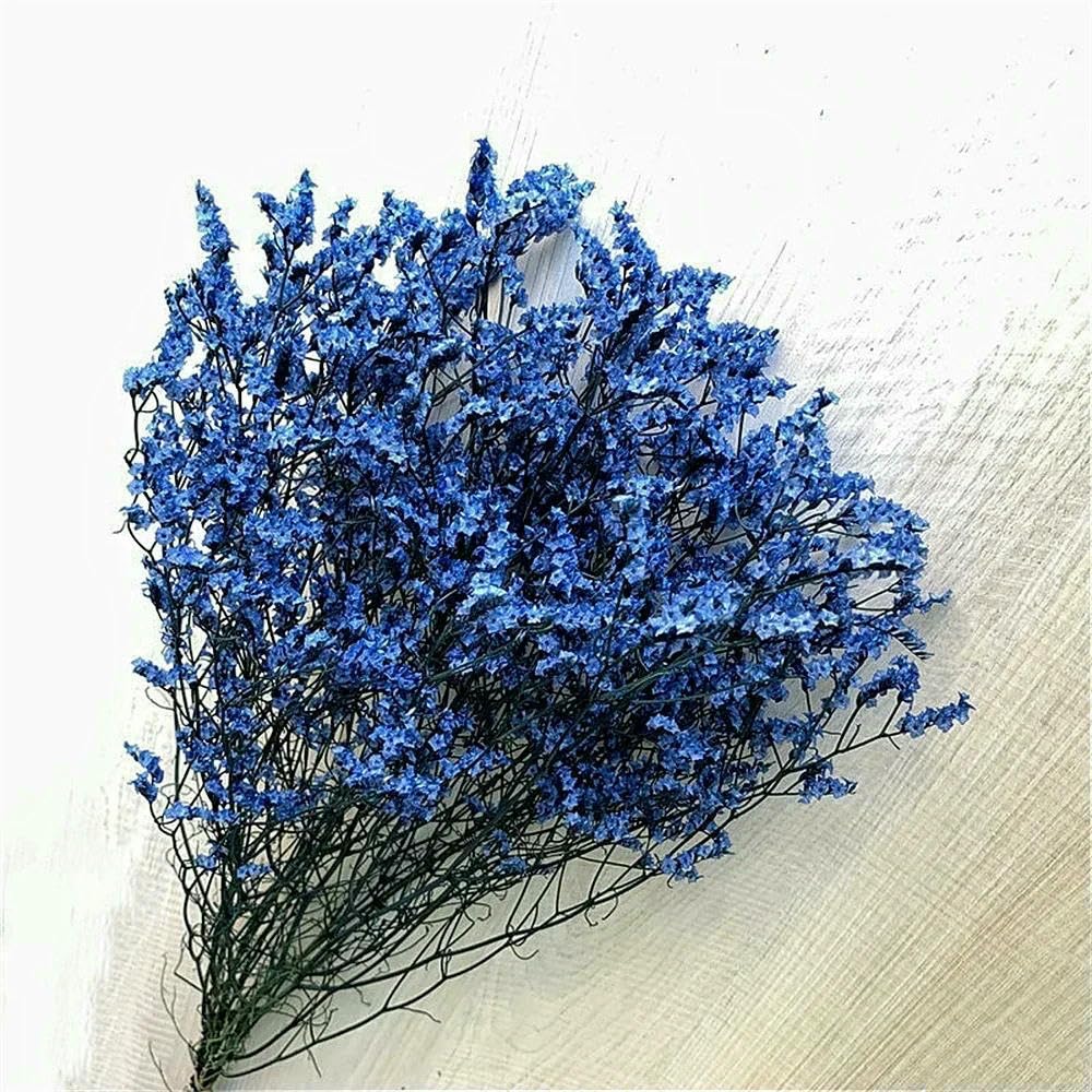 40-50 cm Herbe cristalline séchée Naturelle, véritable Fleur « Amour éternel » pour Les compositions de Mariage