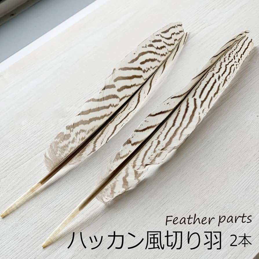 Amazon | ハッカン風切り羽根(1対2本) | 羽根 通販