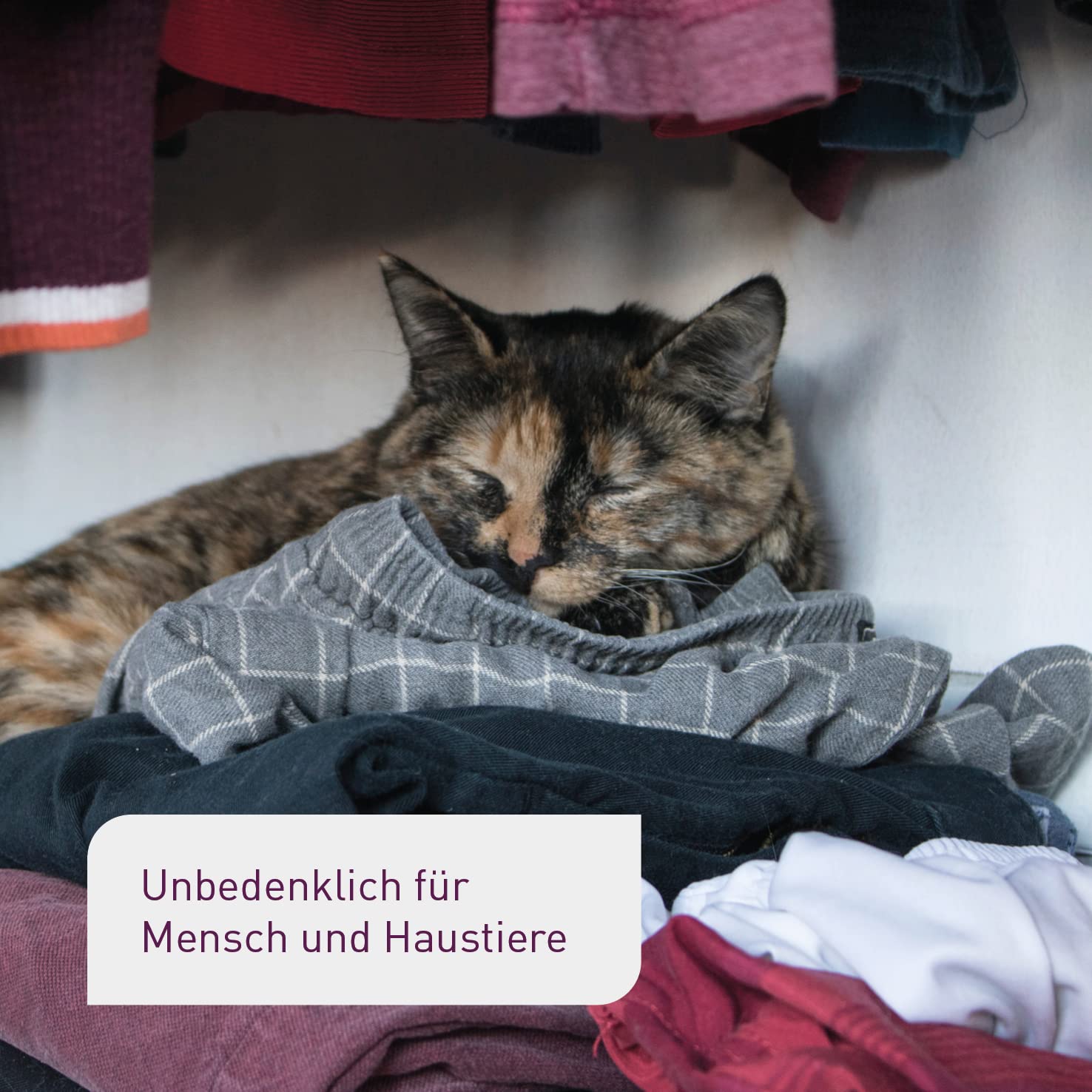 Plantura Schlupfwespen gegen Kleidermotten, Komplett-Lösung mit 12 Karten (3 Karten à 4 Lieferungen) - hochwirksame & nachhaltige Bekämpfung, Alternative zu Mottenkugeln