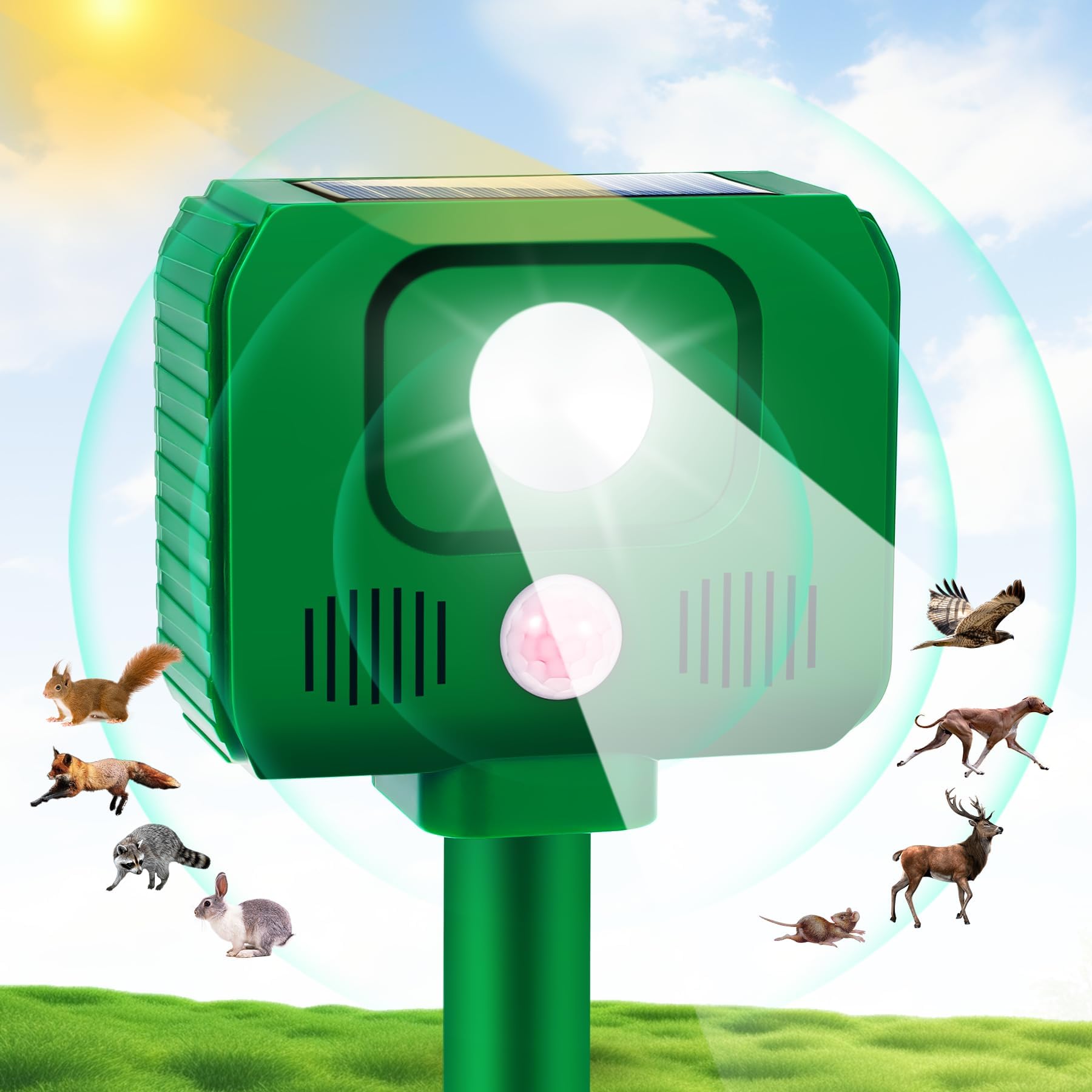 Amazon.com: 2024 Solar Ultrasonic in Repellent Defender Rat, Squirrel