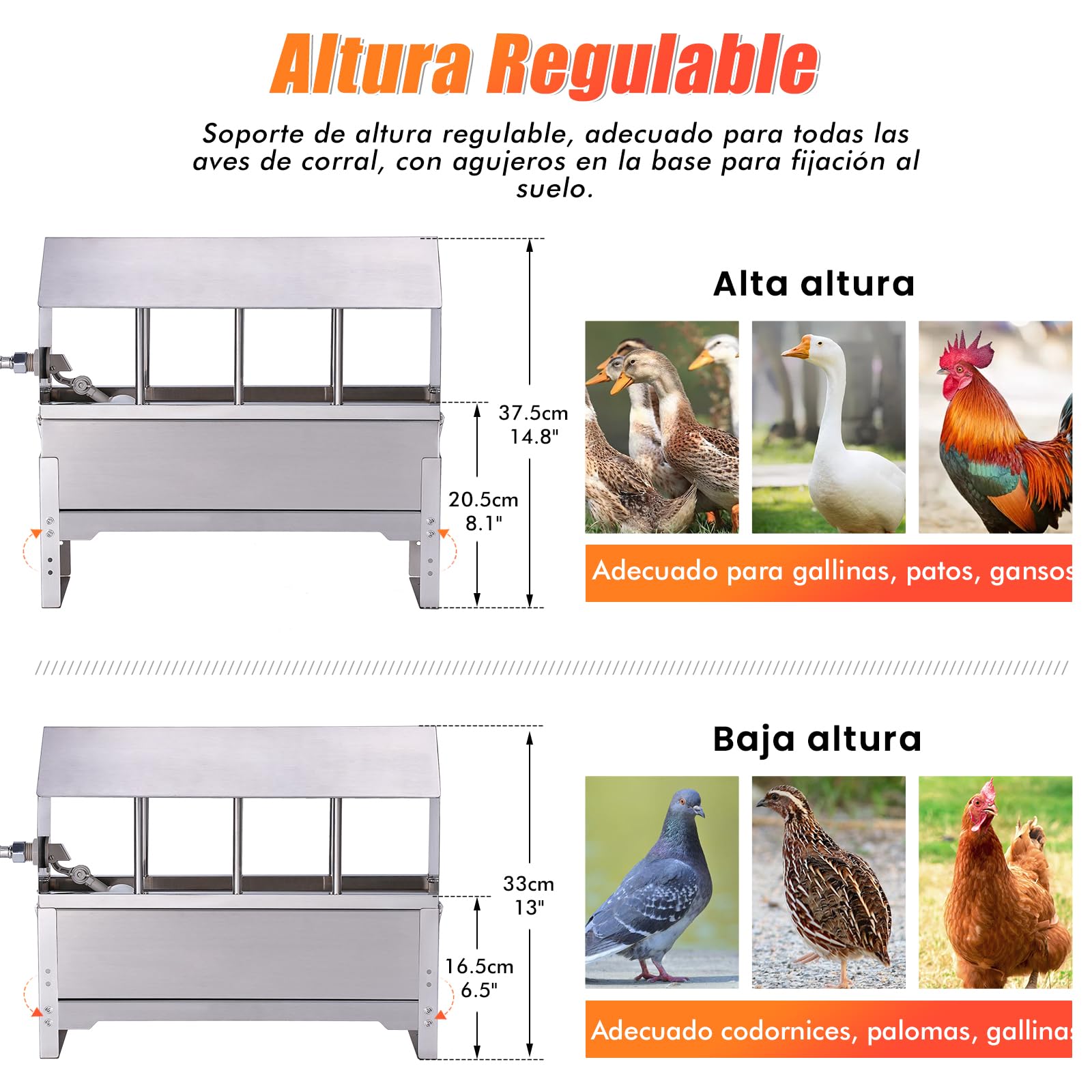 Bebedero para Palomas Bebedor AutomáTico De Acero Inoxidable con VáLvula De Flotador De 1/2 Pulgadas, Alimentador para Colas, Pollos Y Patos