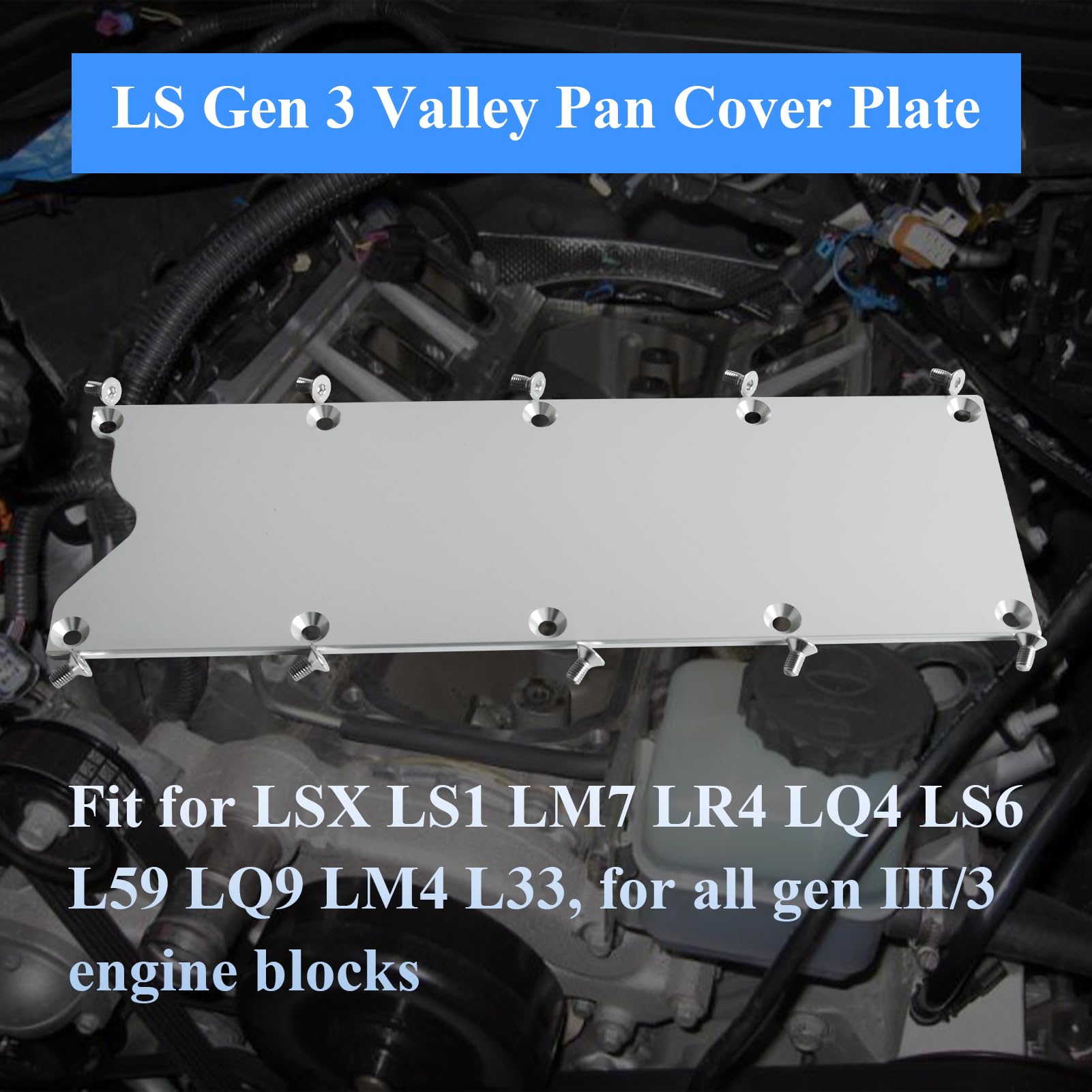 Ls3 Valley Pan Cover LS Gen 3 Valley Pan Cover Plate Endxedo Low ...