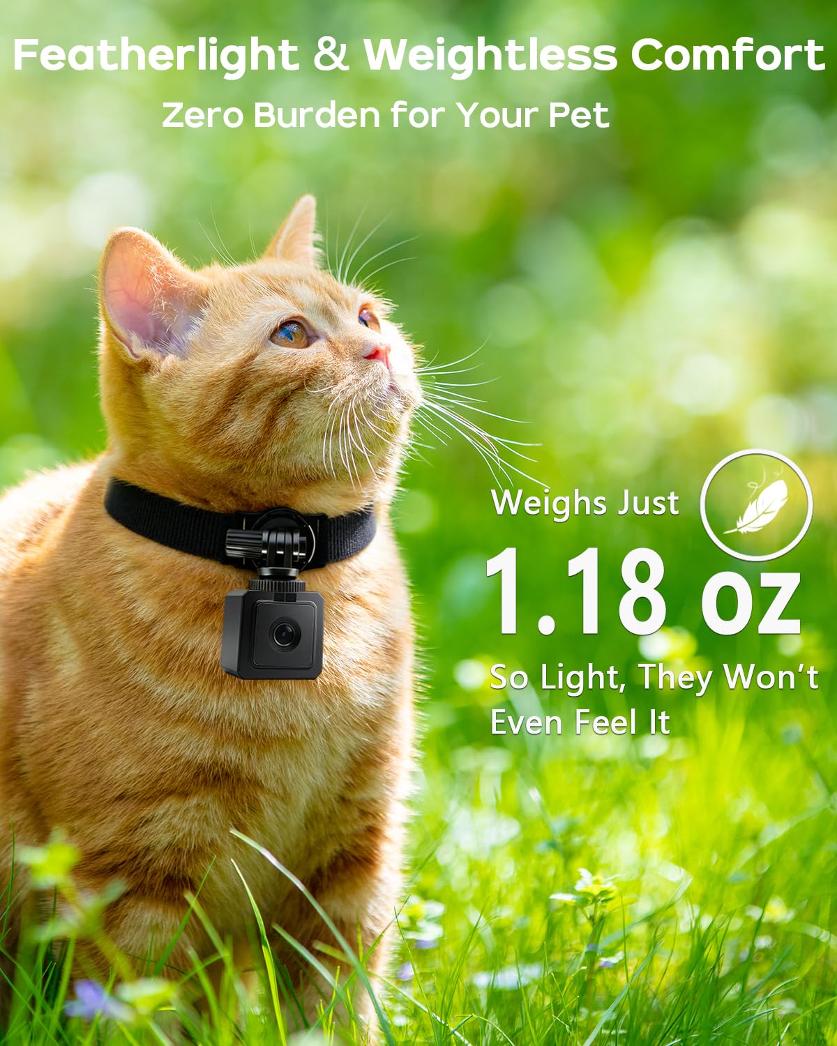 AEZ Haustier-Kamera-Halsband, 1080P Hotspot-WLAN-Action-Kamera, App-Steuerung, magnetisch, tragbar, Sport-DV-Halsbandkamera für Katzen/Hunde oder Körperkamera (keine SD-Karte im Lieferumfang enthalten