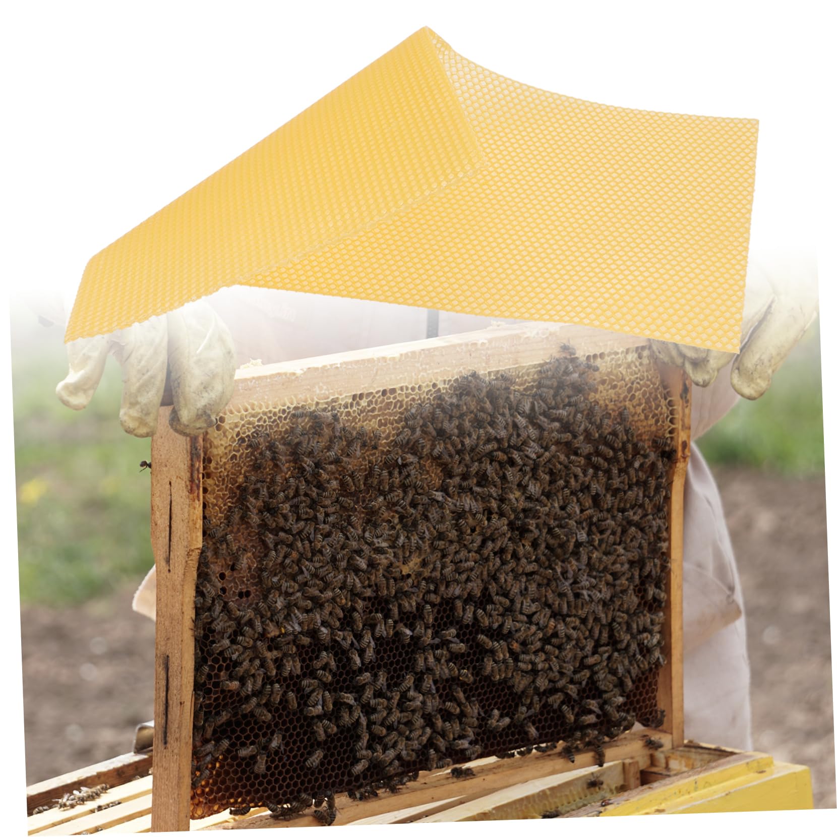 Fogli Cerei Apicoltura Beehive Waxed Foundation Sheet 30 Pezzi | Cera D'api Gialla, Aroma Lieve e Resa Elevata, per Progetti Fai da Te e Verniciatura Mobili