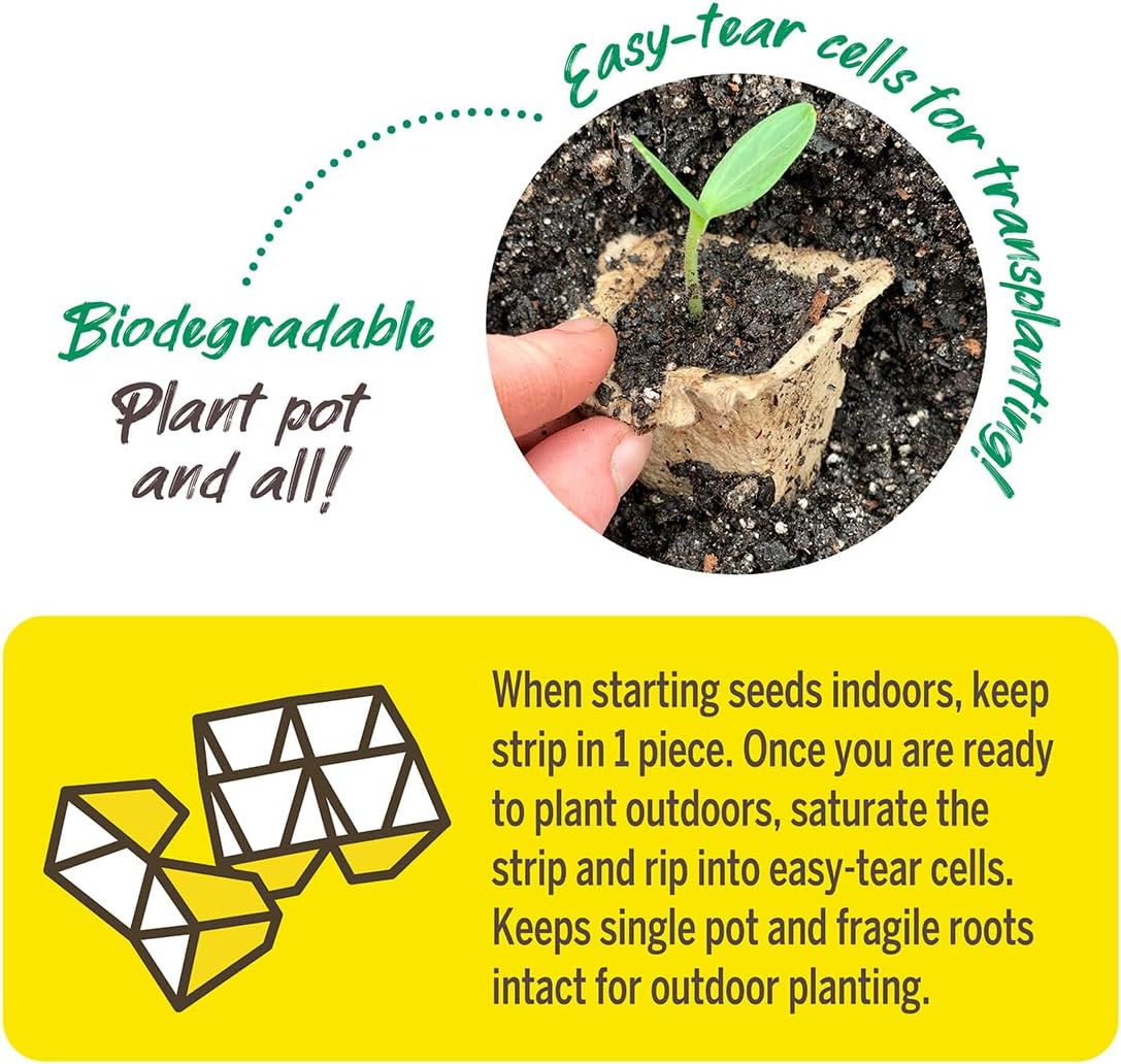 Jiffy Seed Starting Strips - Biodegradable, Plant Starter Pots, 10 Cell, 50 Strips - Peat