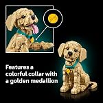 LEGO Icons Chiot Golden Retriever Ensemble de Construction pour Adultes, 18 ans et plus - Décor pour Maison, Chambre ou Étagère - Cadeaux pour Femmes & Hommes - Figurine de Chien Articulée - 11384
