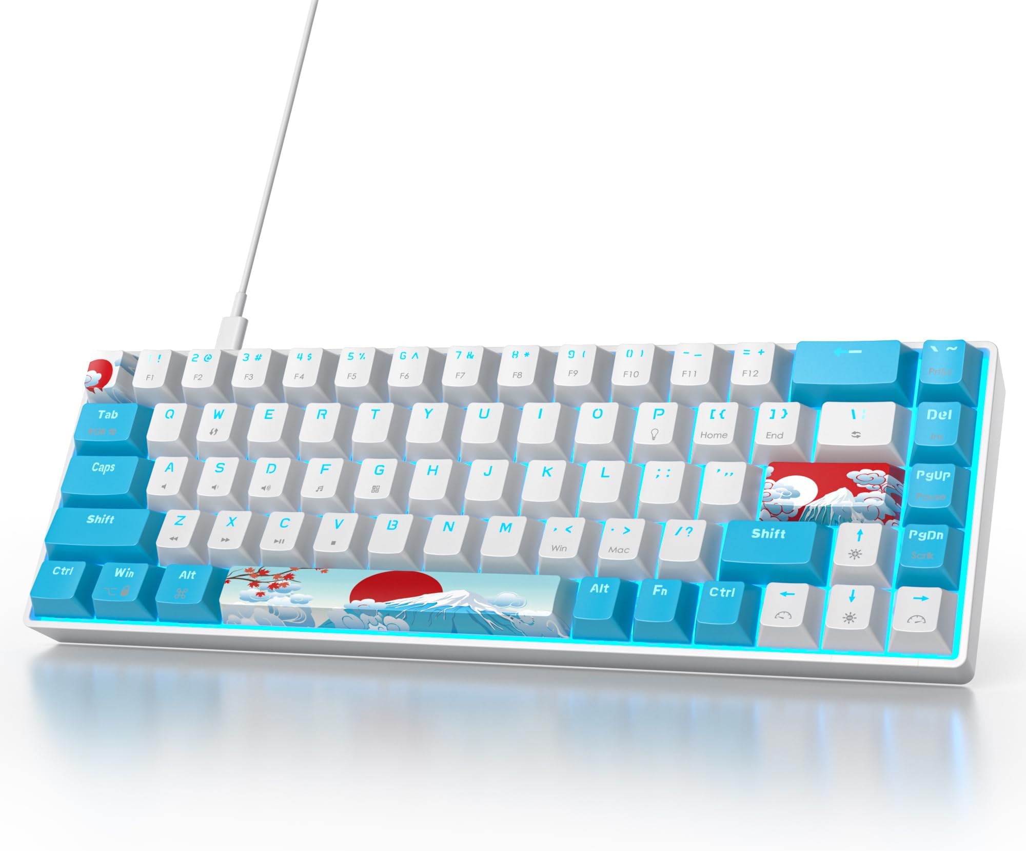 Owpkeenthy Wired 65% Mechanical Gaming Keyboard with Blue Switch 60% Ultra Compact RGB Gaming Keyboard Backlit Keys N-Key Rollover for PC PS5 Xbox(Blue/ 68 Blue Switch)