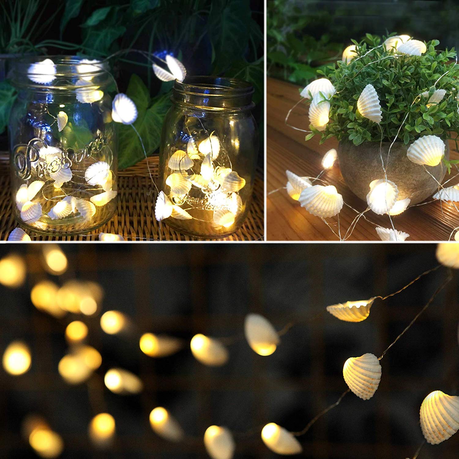 Amazon.com: HDNICEZM Beach Seashell Decorative String Lights 14.1