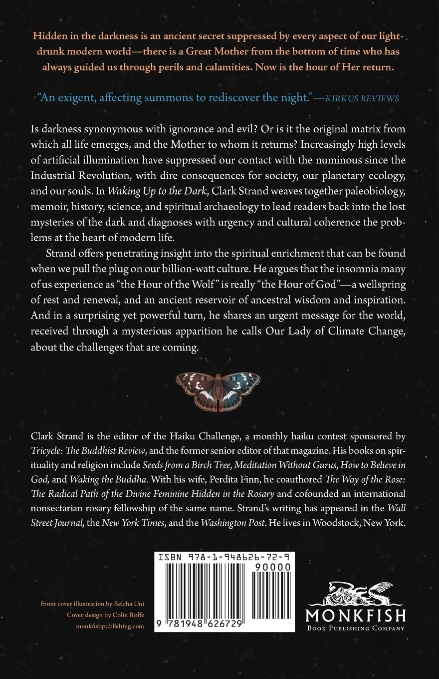 Waking Up to the Dark: The Black Madonna's Gospel for An Age of Extinction and Collapse - Image 2