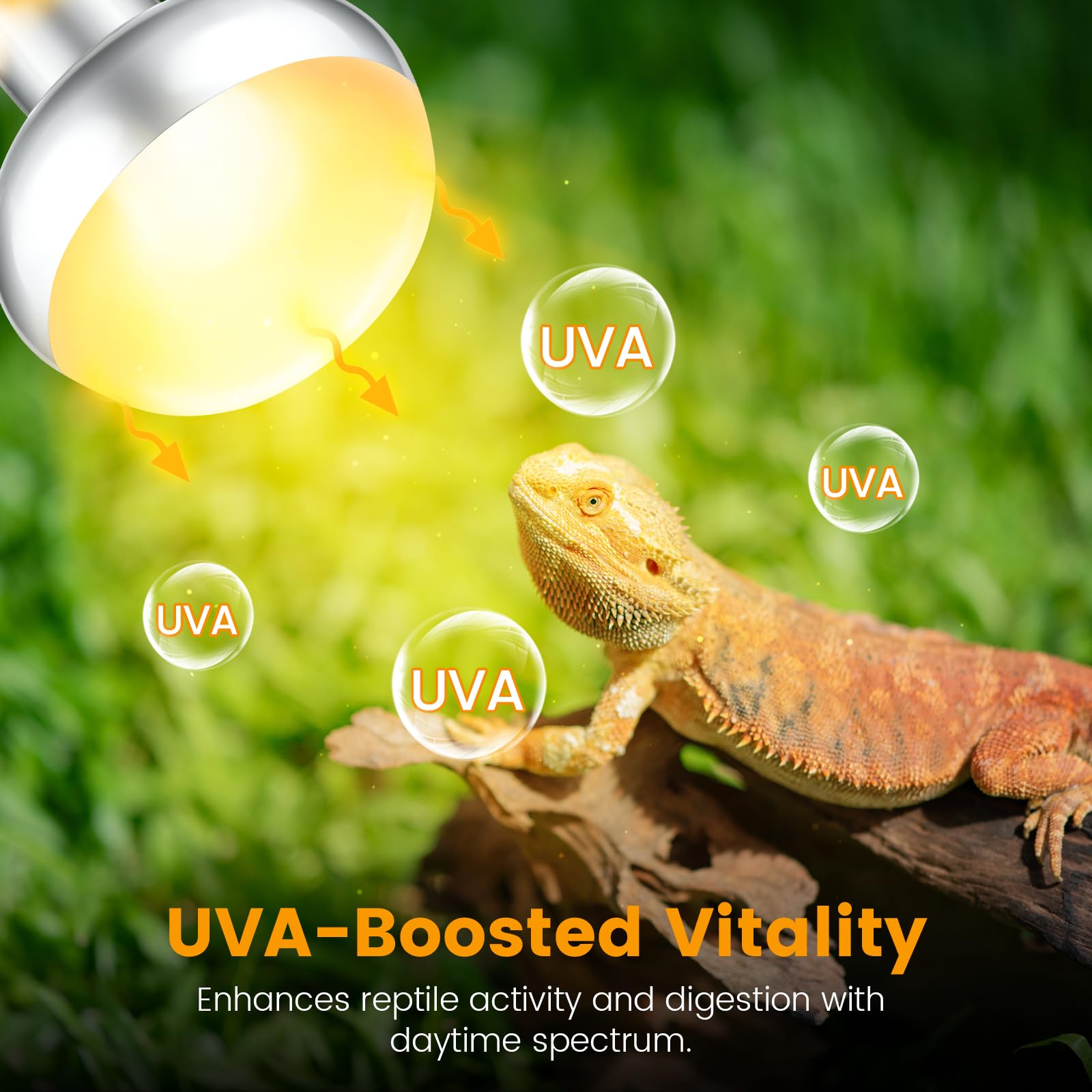 Deep Dome Light Fixture 8.5", Heat Lamp Max 200W, Tank Lighting Fixtures, UVB Reptile Light, Accessories 2 Packs E26 - image 6