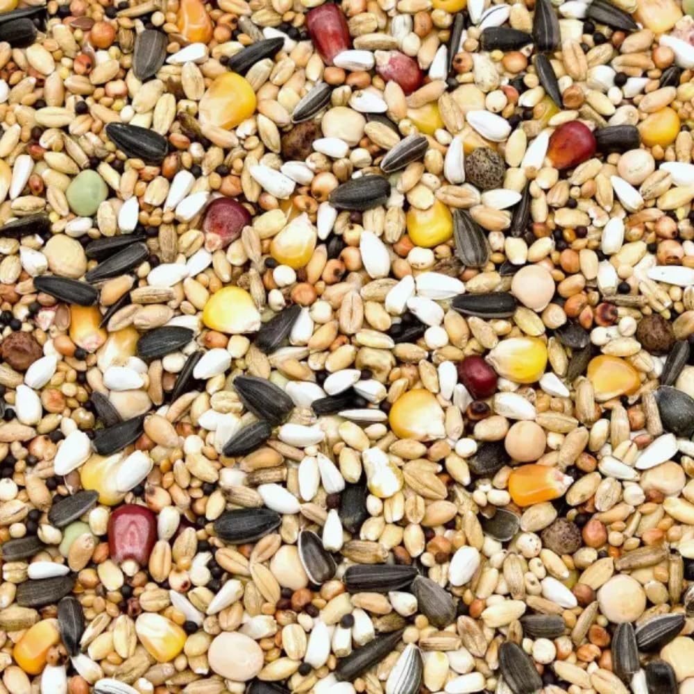 Pienso para palomas Winter Extra Plus, 25 kg, mezcla de granos de alta energía para meses de invierno, rica en proteínas y fibra para una óptima condición y salud