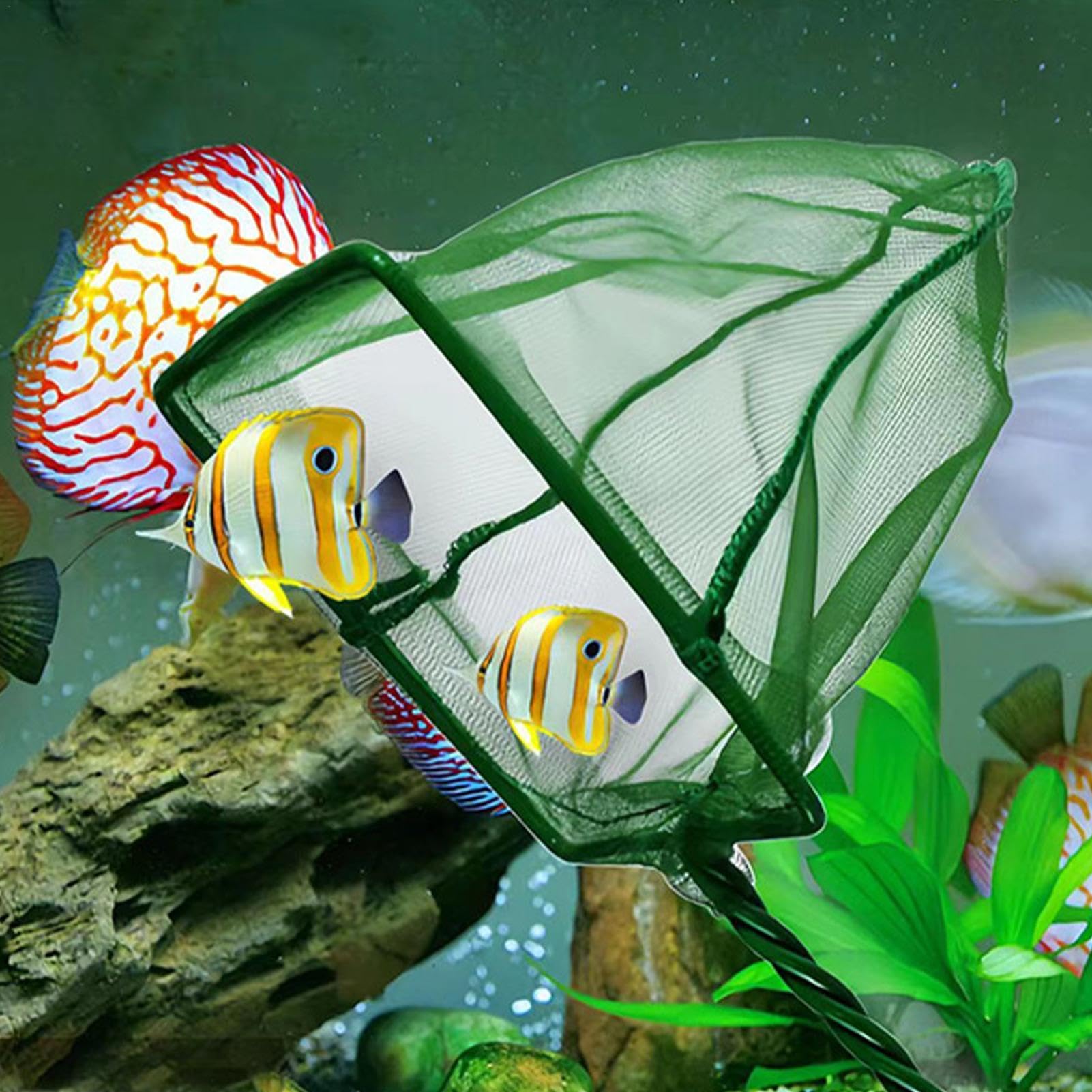 Amazon.co.jp: Aoyitaf 水槽用魚網、魚すくい網 - ファインメッシュ
