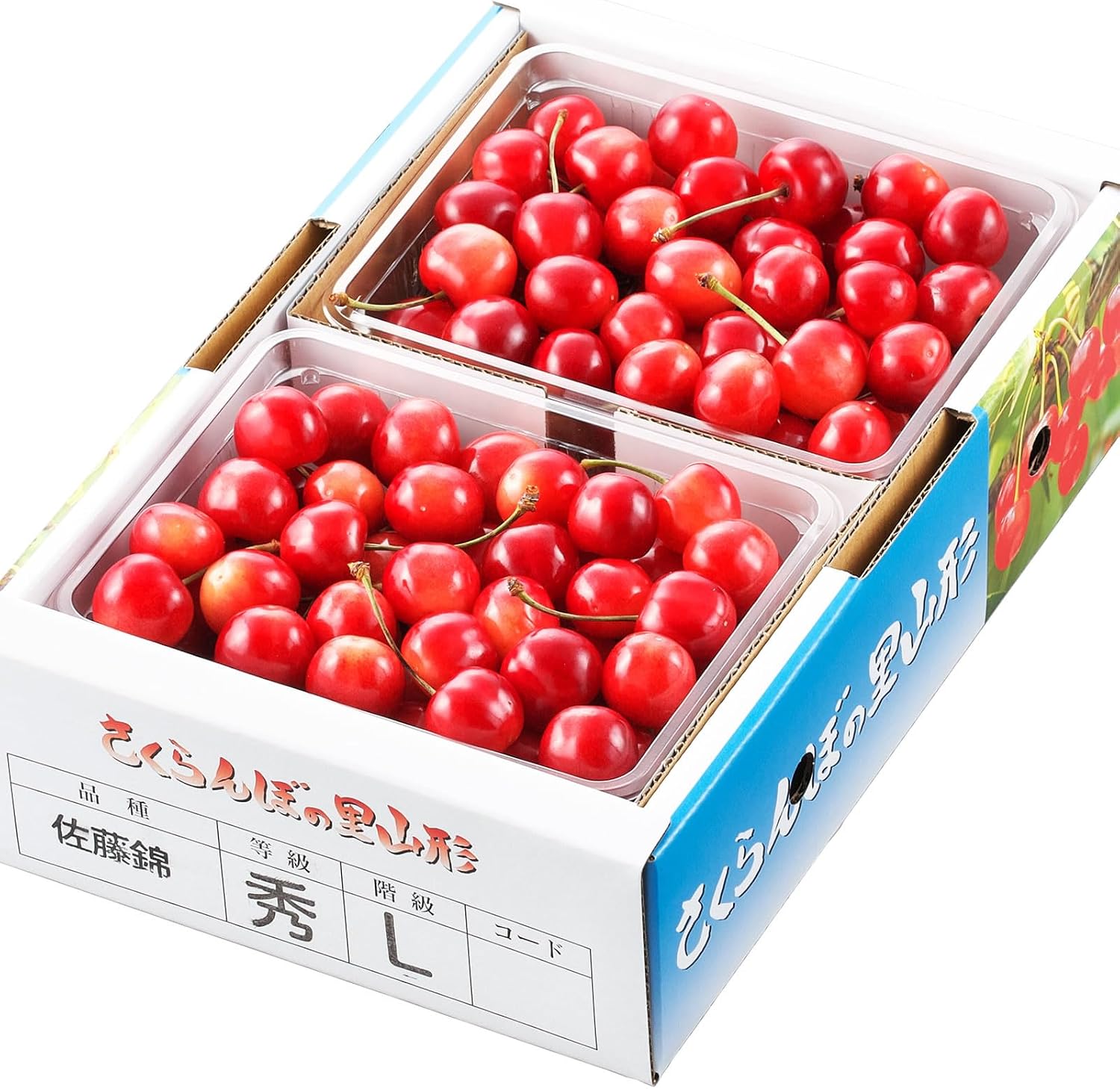 瞬美痩 Syunbiso ボディシェイプデザイン 280g 詰替 詰め替え