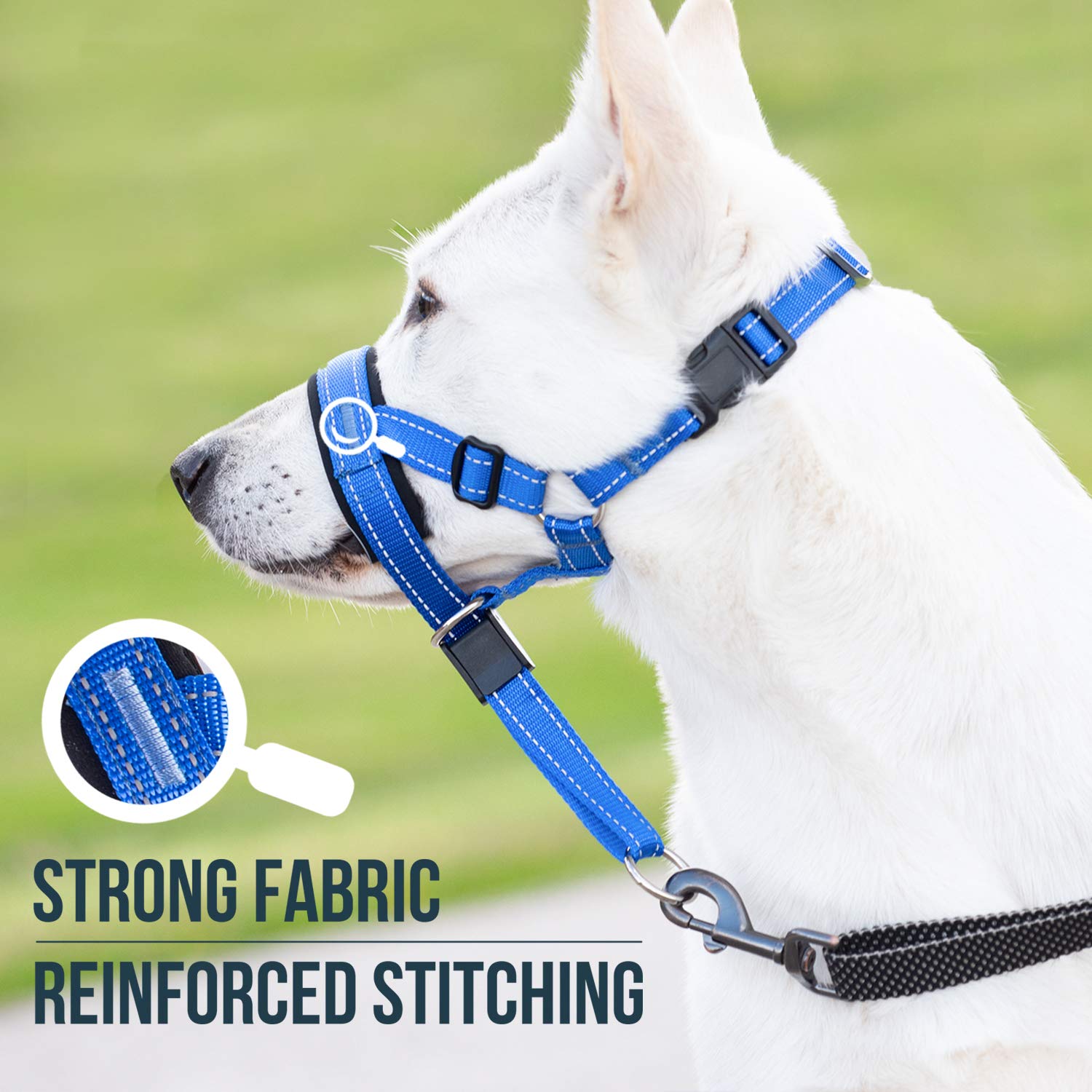 GoodBoy Cabestro de cabeza de perro con correa de seguridad – Detiene el tirón pesado de la correa – Collar de cabeza acolchado para tamaños de perro pequeño mediano y grande – Guía de entrenamiento