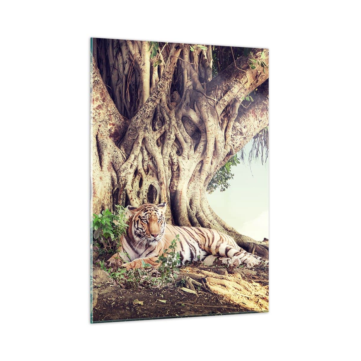 Cuadro sobre Vidrio 50x70 cm Moderno Vertical Botánica Naturaleza - 5124