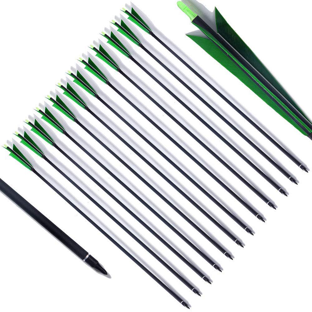 55 70 Arrow Spine