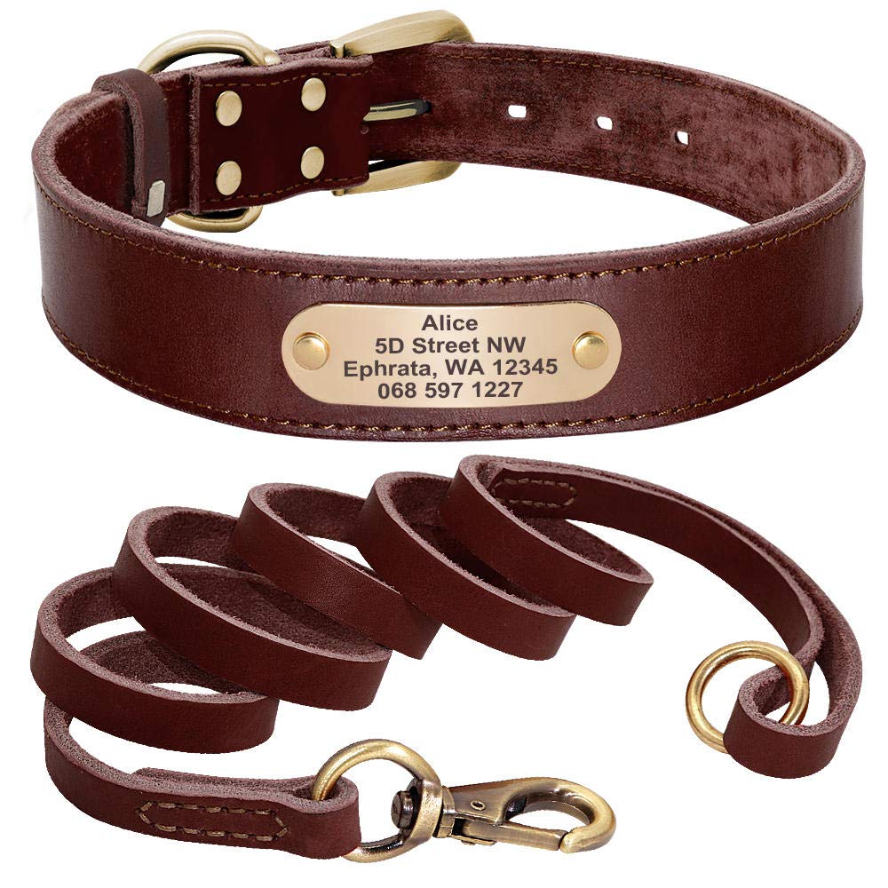 Juego de Correa de Cuero para Perro Personalizado, Correa Personalizada para Collar de Mascota, Placa de identificación grabada para Perros medianos Grandes-Brown_Set_L