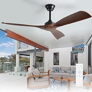Depuley Ceiling Fan Without Light: 52 Inch 3 Plastic Blade Outdoor Fans
