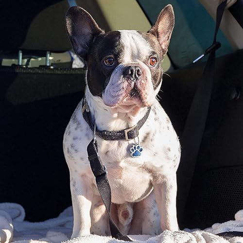 Miniatura 5 de Junkin 100 piezas de dije de pata de animal hueca con purpurina para perro, gato, aleación, pata de animal, colorido, lindo, suministros para hacer