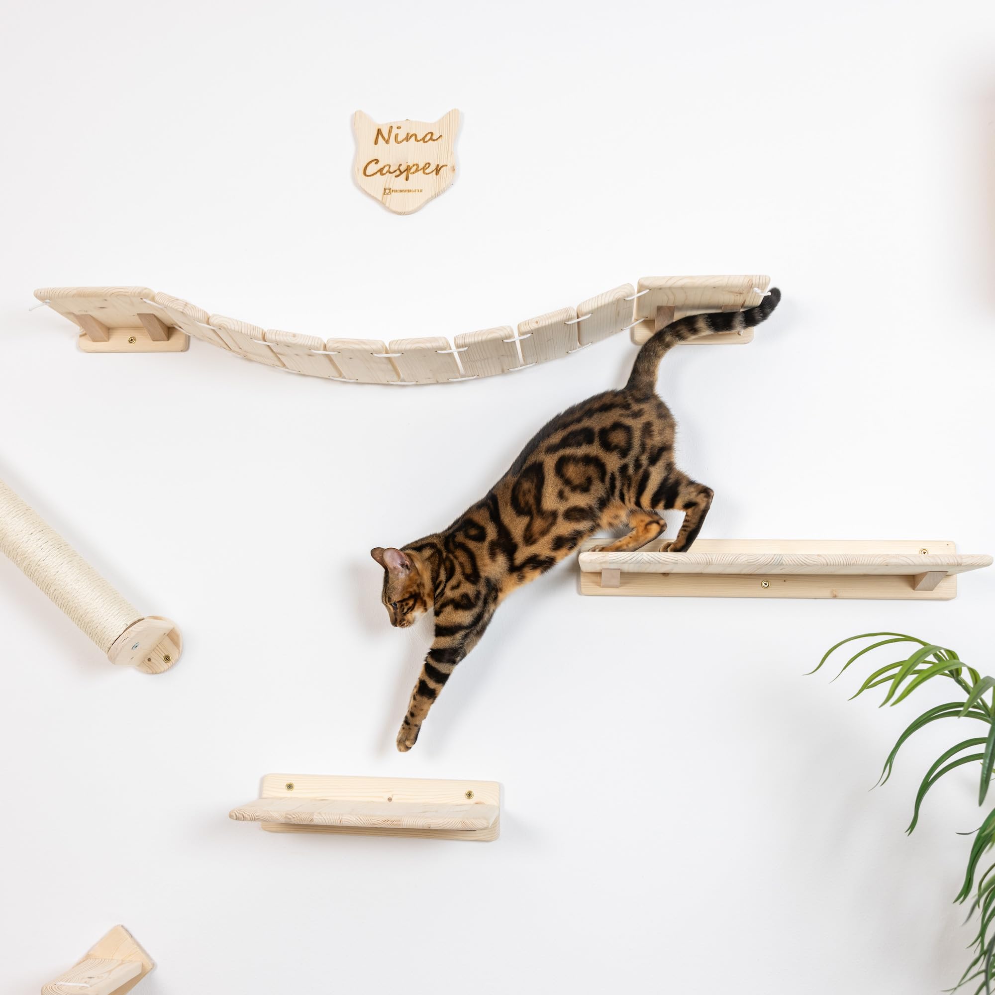 Mensole per Gatti da Parete in Legno d'Abete PEFC Artigianali, Mensola Gatto 40 cm, per Arrampicata e Percorso da Muro per Gatti con Resistenza Fino a 20 kg – Percorsipergatti