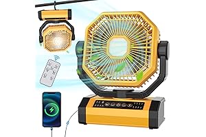 Portable Rechargeable Fan with Remote and Timer