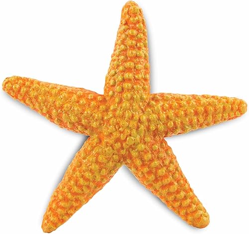 Safari Ltd Wild Safari Sea Life Estrella de mar