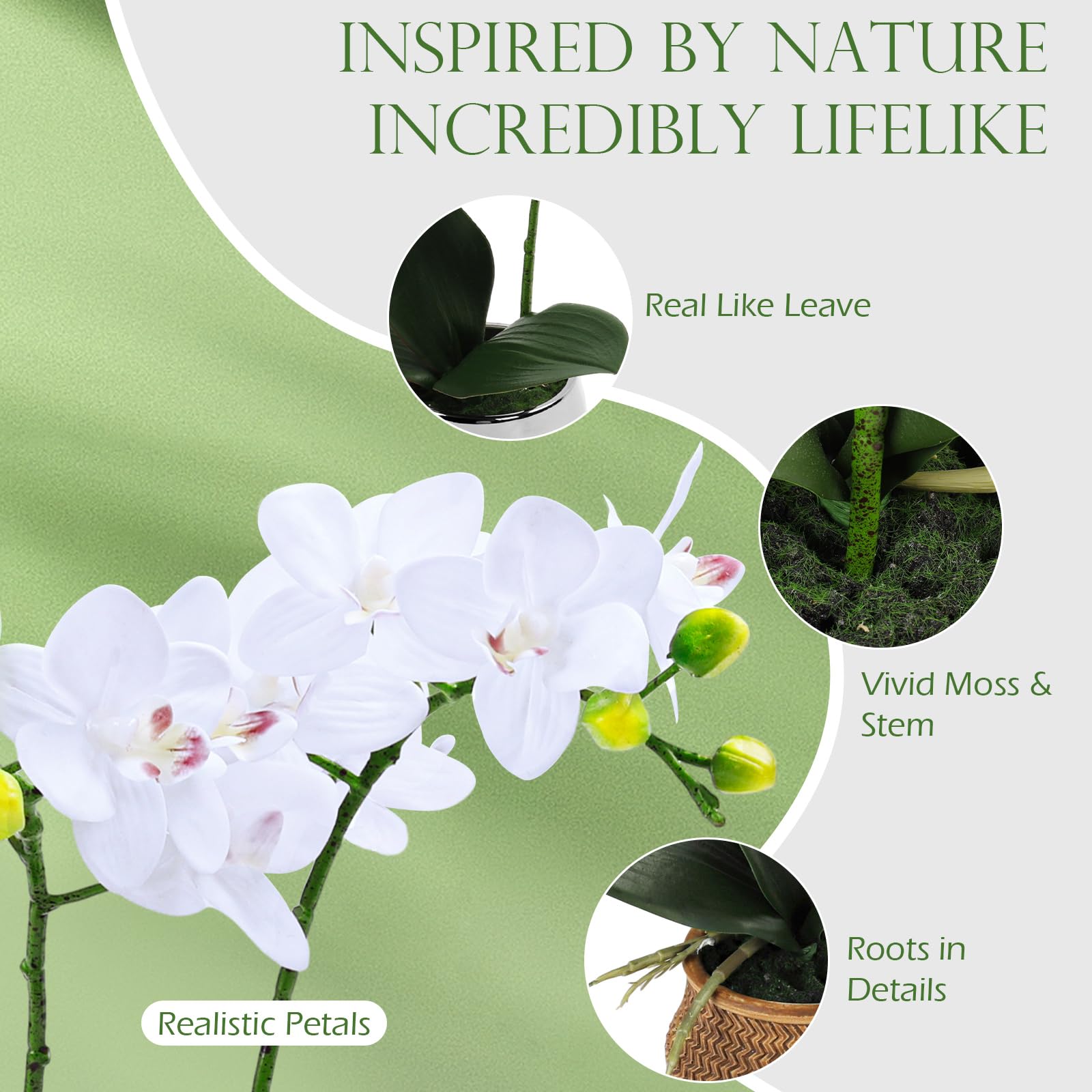 Avoeco Orchidea Artificiale In Vaso - Phalaenopsis Bianca Real Touch Con Vaso In Ceramica, Per Casa E Ufficio