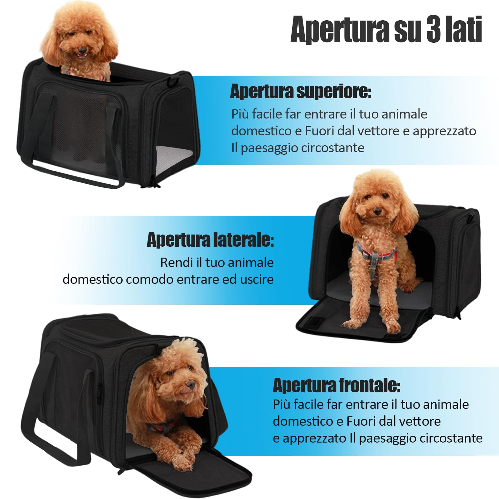 Trasportino per Cani e Gatti, Gabbietta per Animali Domestici, Tappetino Lavabile Rimovibile, con Tracolla per il Trasporto, Borsa Ripiegabile Viaggio Sull' Aereo (Nero)L 43 x B 28 x H 28 cm