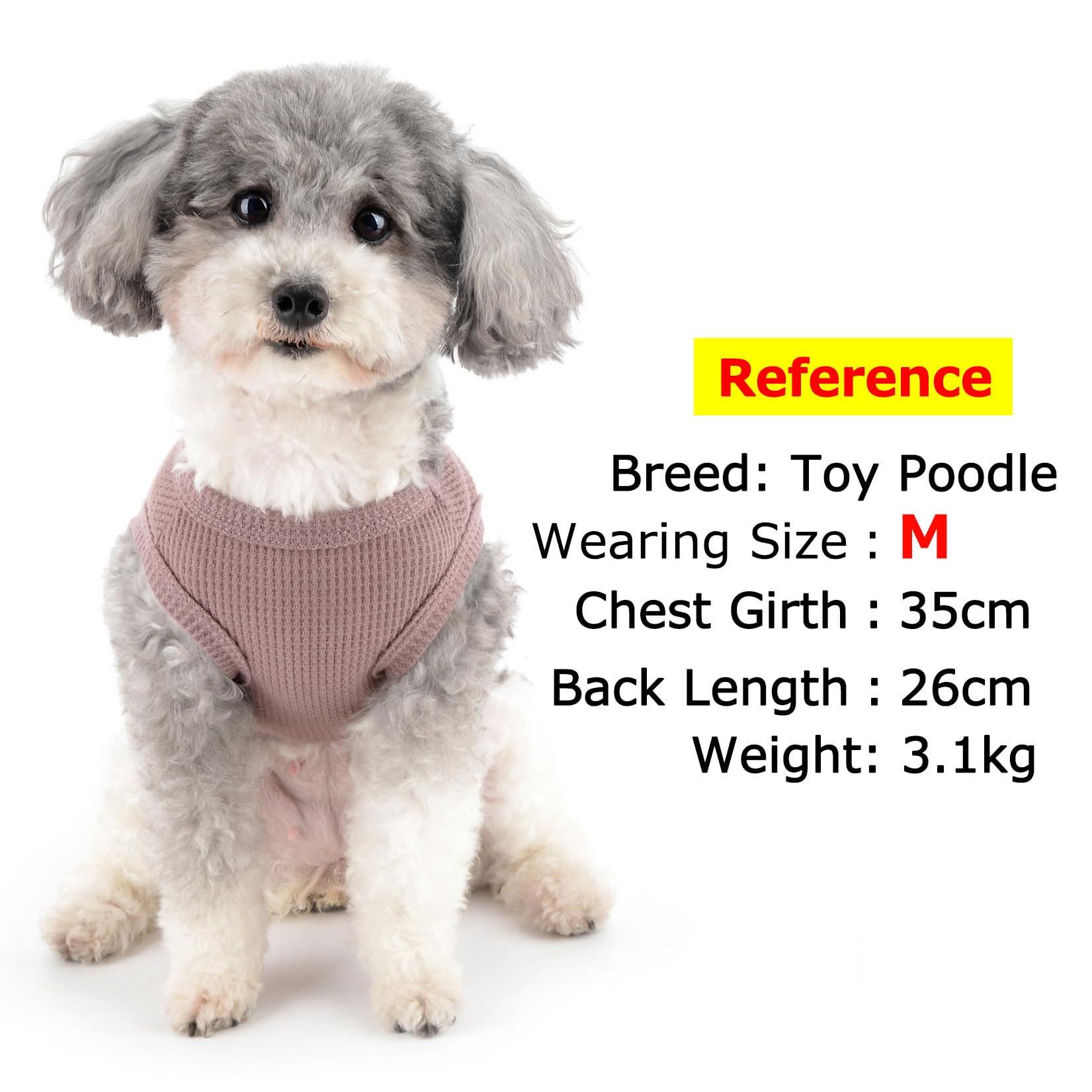 Zunea Dog Shirts for Small Dogs Summer Vest T-Shirt Soft Breathable Puppy Clothes Basic Tee Shirt Pet Sleeveless Tank Top Chihuahua Yorkie Cat Sweatshirt Apparel Purple XXL - Image 3