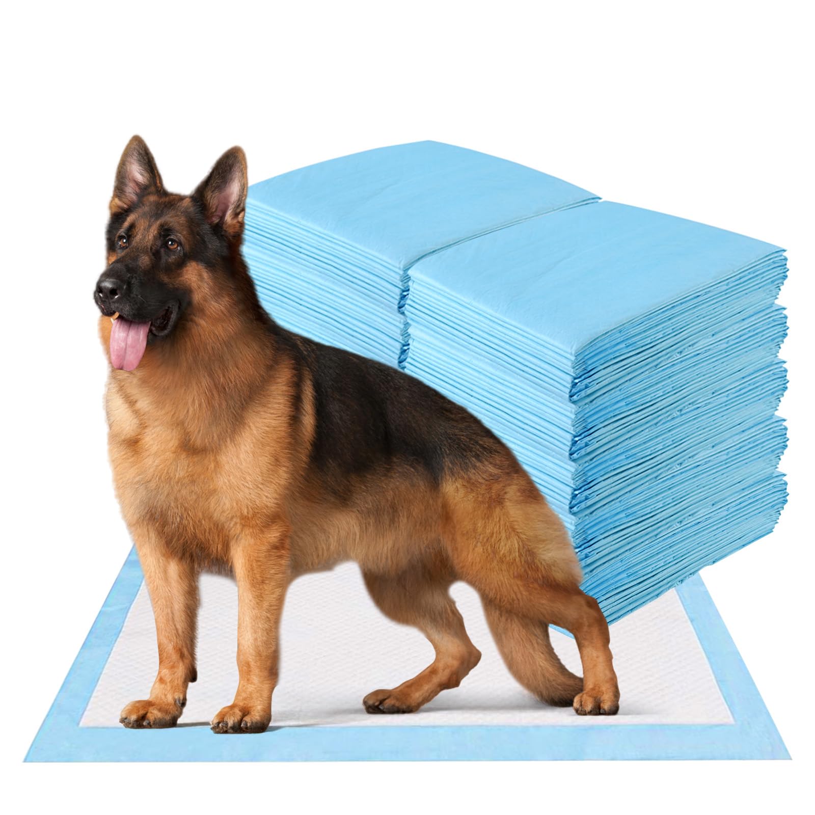 Alaise pour chien jetable absorbante 75x90 cm avec tapis educateur GOPLUS