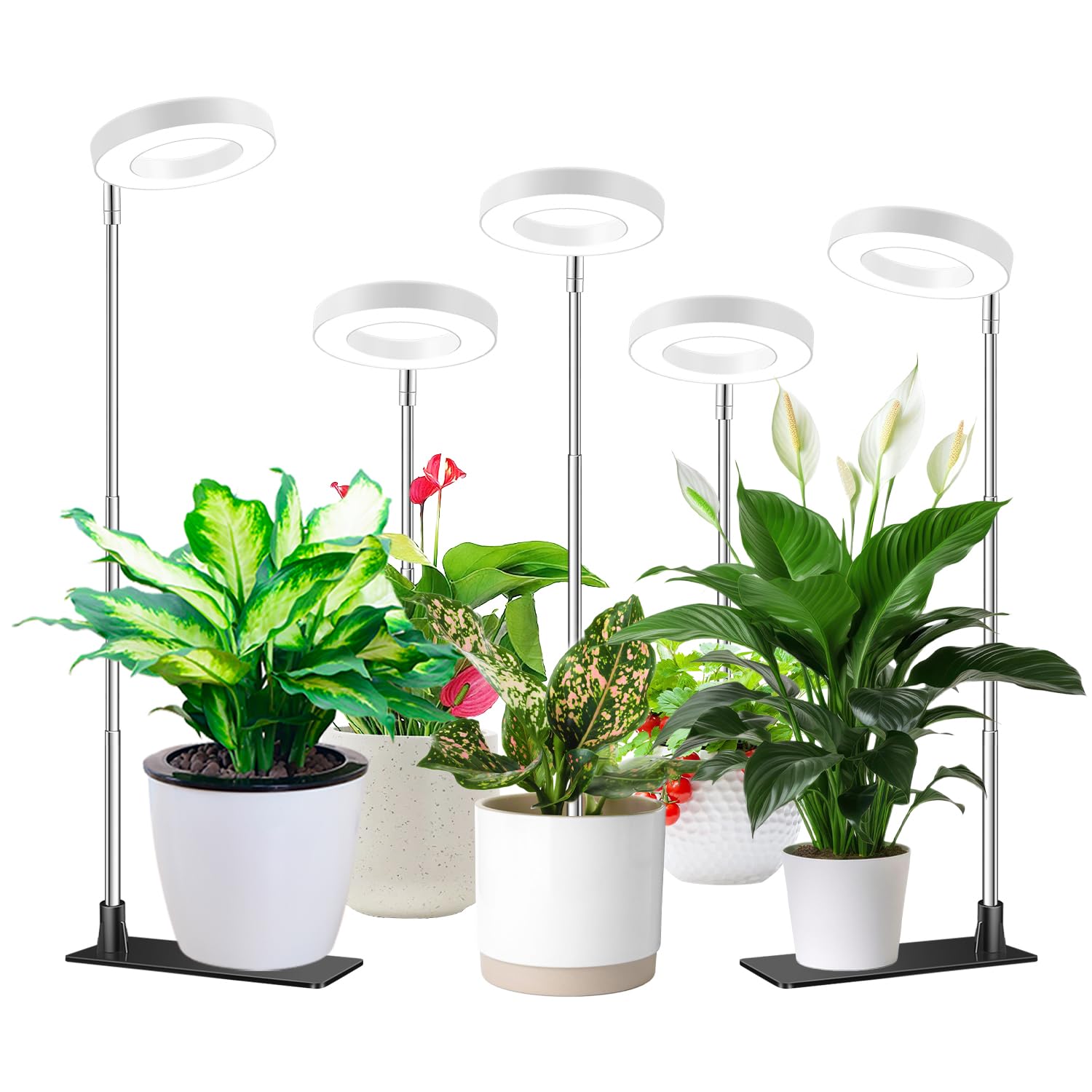 Aokrean Halo Grow Lights for Indoor Plants, Full Spectrum with Base 5 Pack