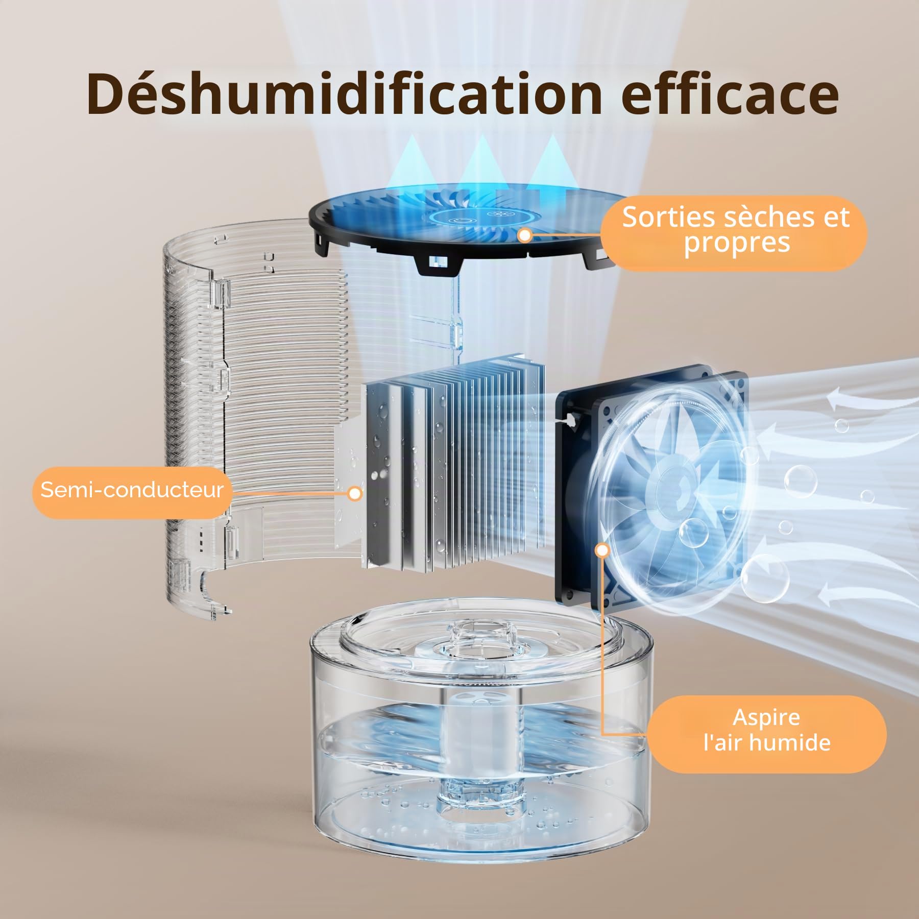 Déshumidificateur Ultra-Silencieux pour Maison, Chambre à Coucher, Salle de Bain, Placard, Caravane et Bureau, avec Arrêt Automatique