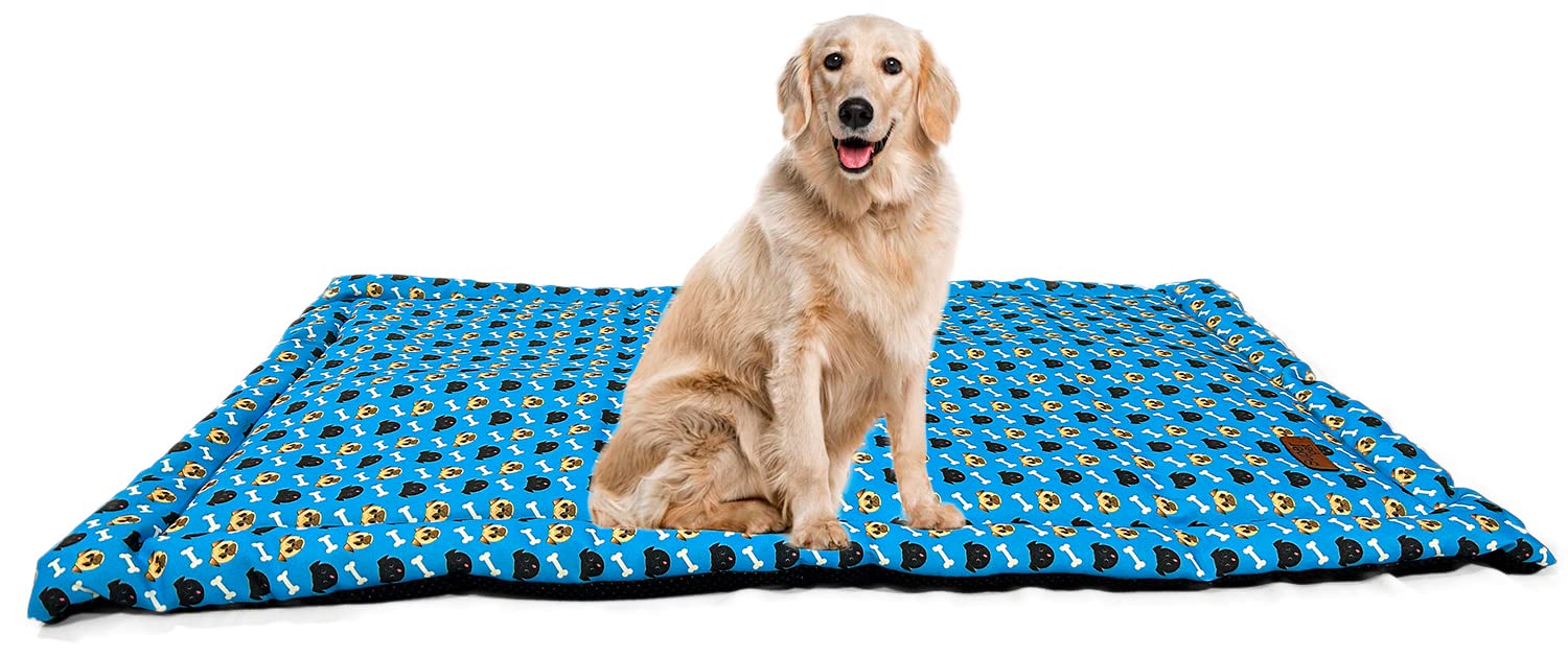 Midwest Dog & Cat Matterss Comfy Medium Size Bed Soft, Light, Quirky Prints Suitable for Small Breed & Medium Size Dogs | Length 34 Inch(86 CM) * Width 22 Inch(57 CM) (B0BMQY77WJ) Amazon Price History, Amazon Price Tracker
