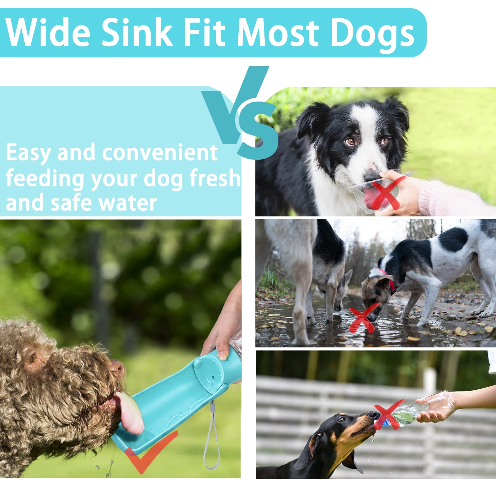 Is Sink Water Safe For Dogs