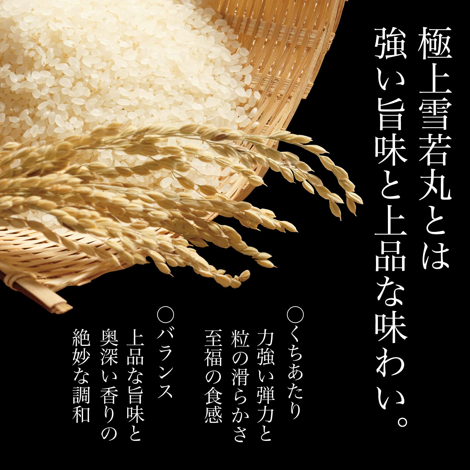 Amazon.co.jp: 精米 令和7年産 特A 山形県産 雪若丸 20kg (5kg×4 