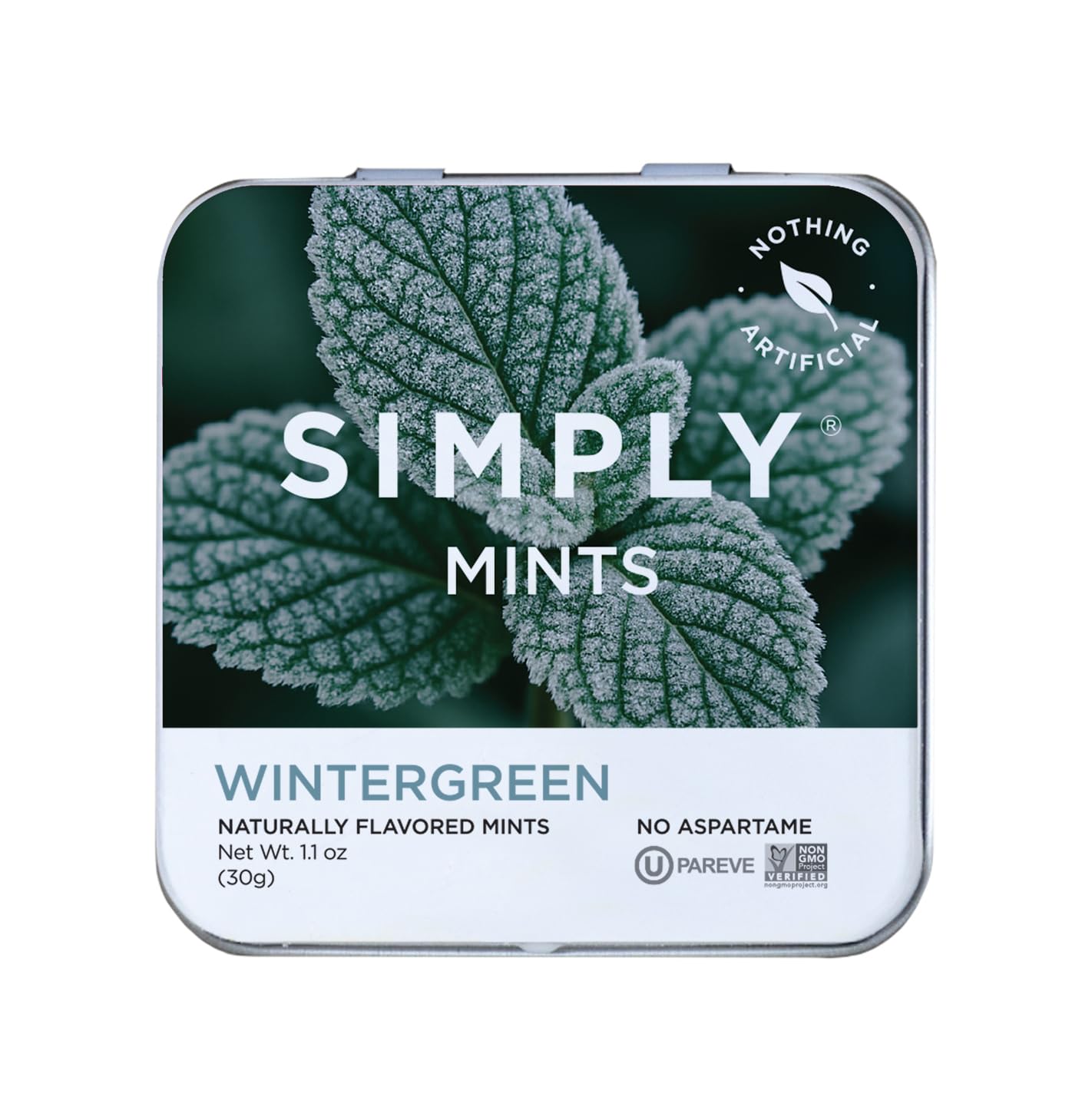 Amazon.com : SIMPLY MINTS Natural Wintergreen Breath Mints, 6 Pack